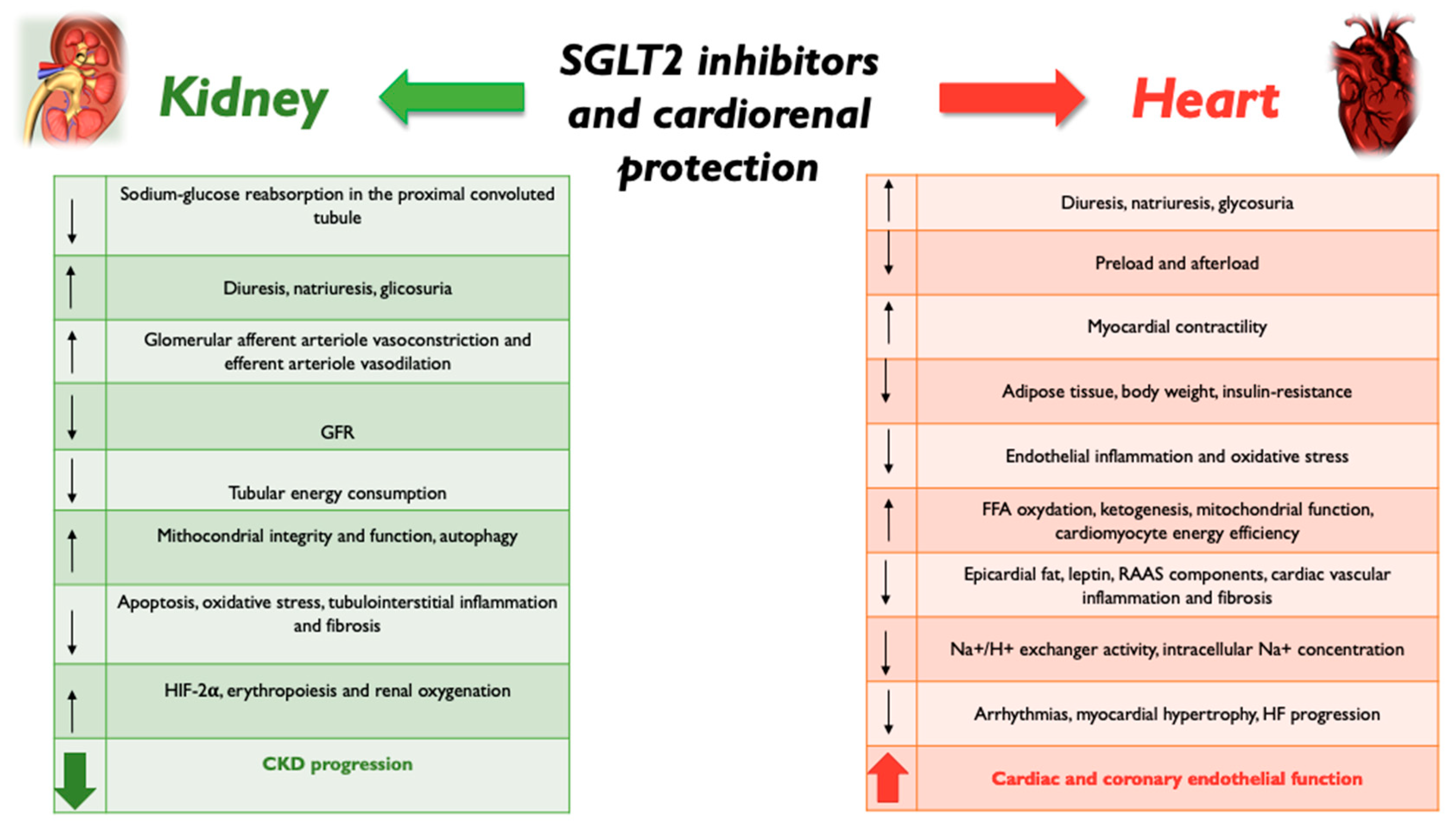 Biomolecules 12 01349 g001 Biomolecules 12 01349 g001