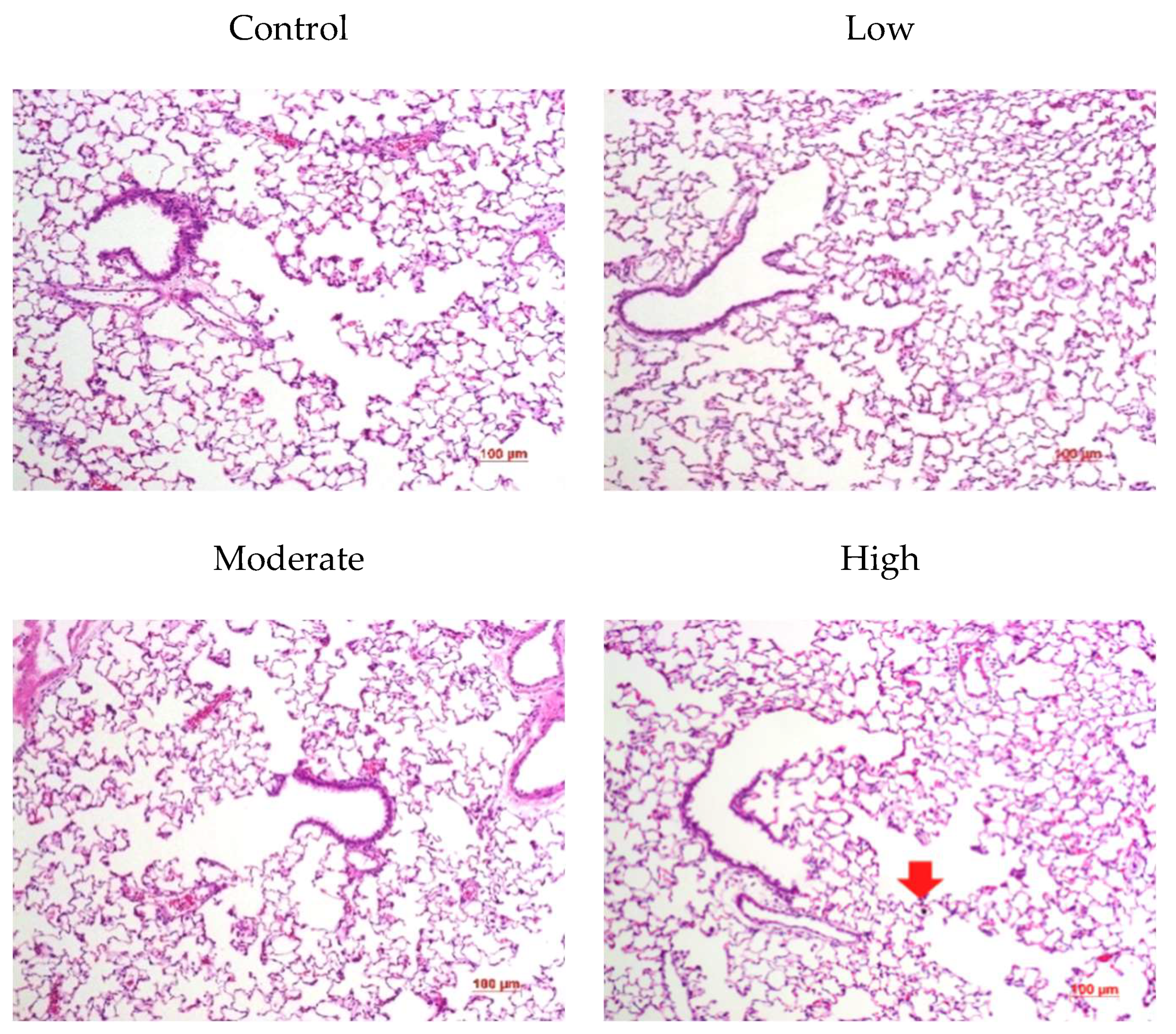 Biomolecules 12 01351 g007 550