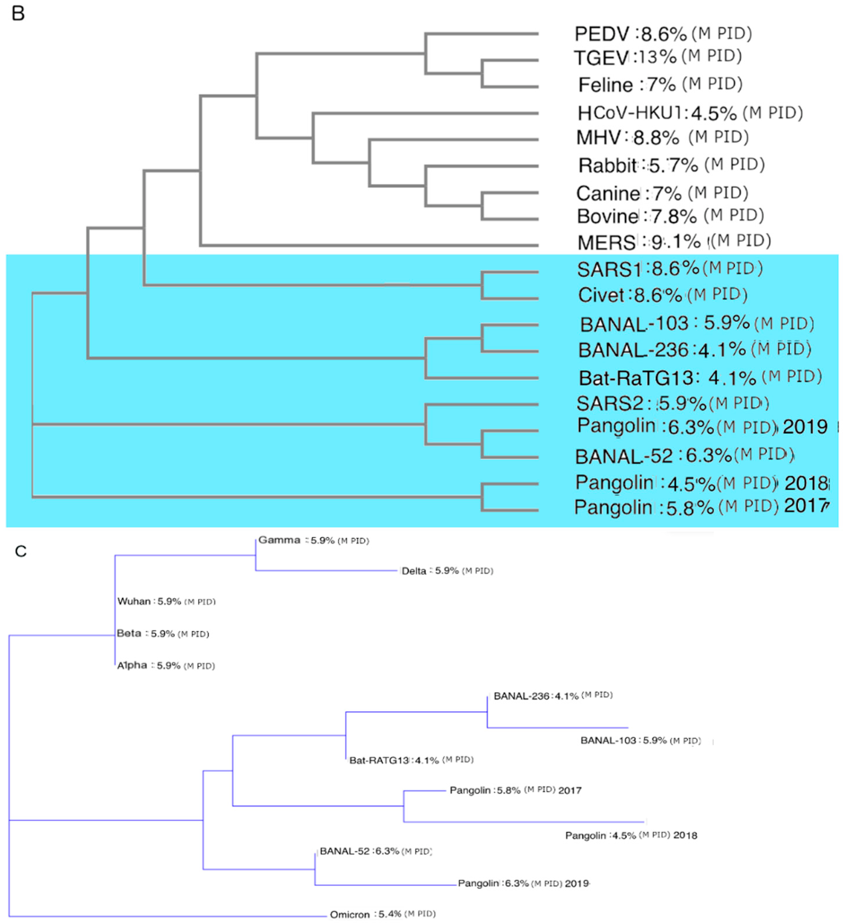 Biomolecules Free FullText A Study on the Nature of SARSCoV2