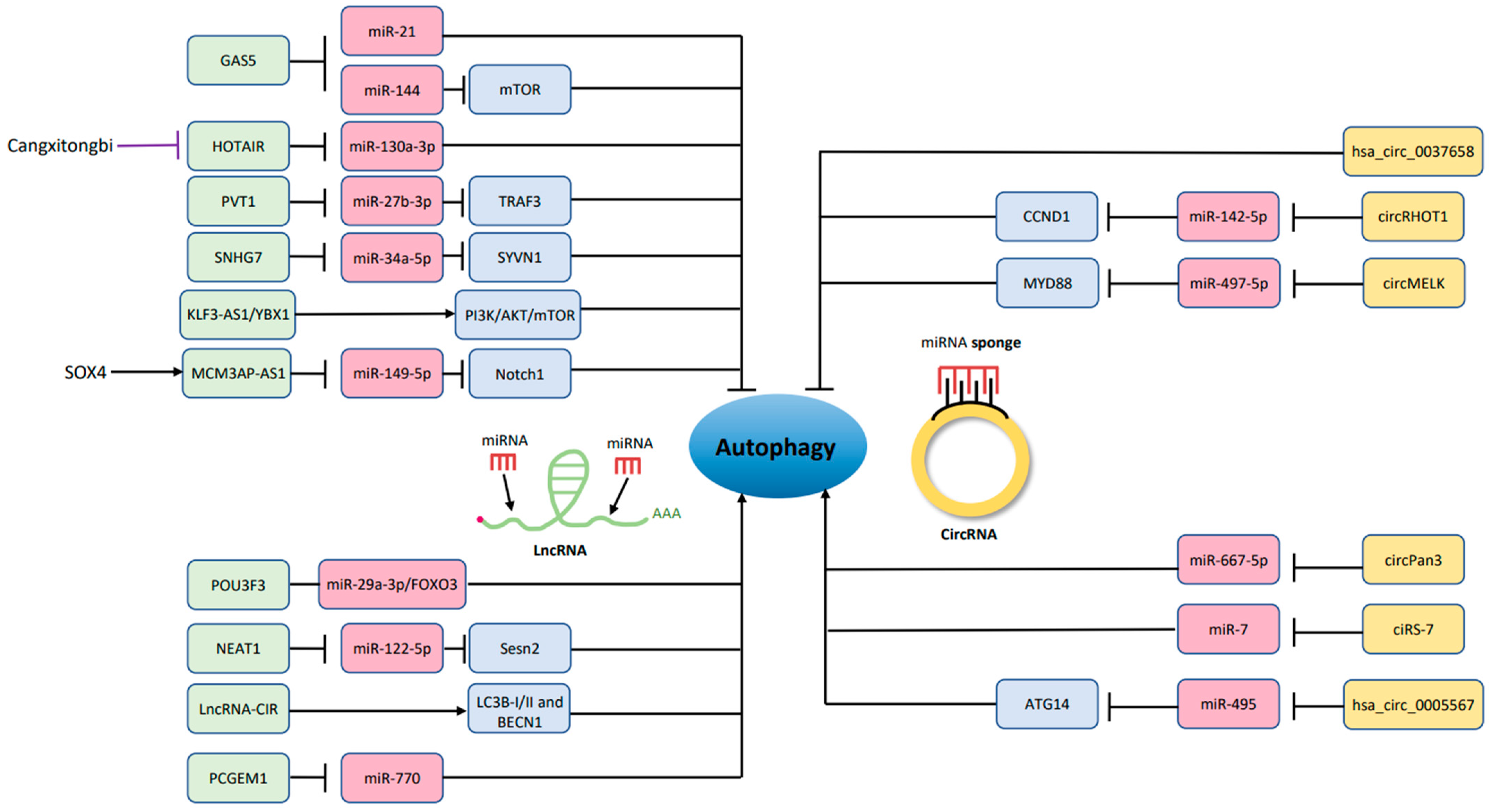 Biomolecules 12 01357 g002 Biomolecules 12 01357 g002