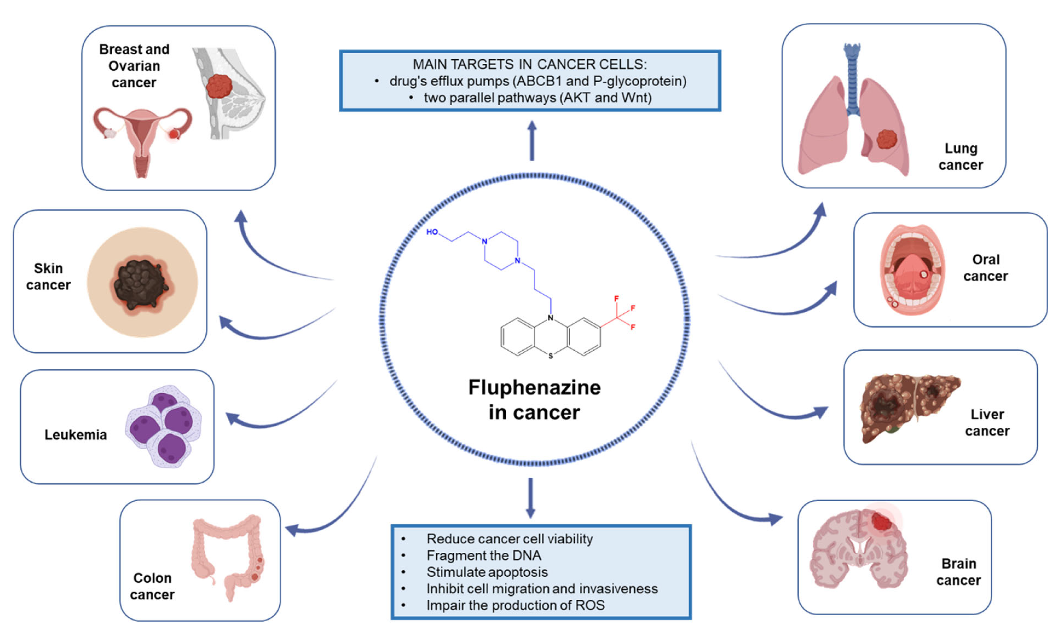 Biomolecules 12 01360 g002