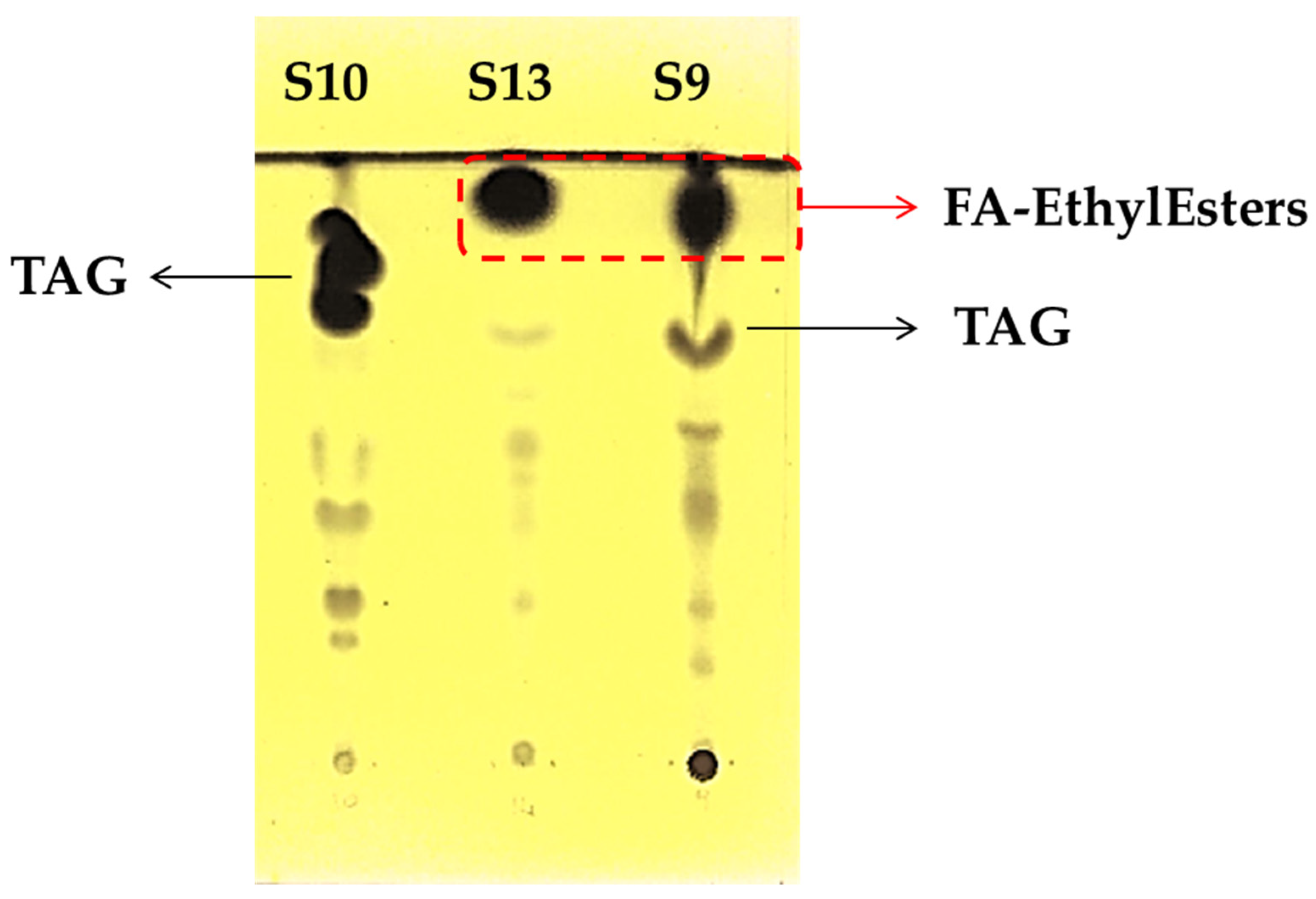 Biomolecules 12 01361 g003 Biomolecules 12 01361 g003