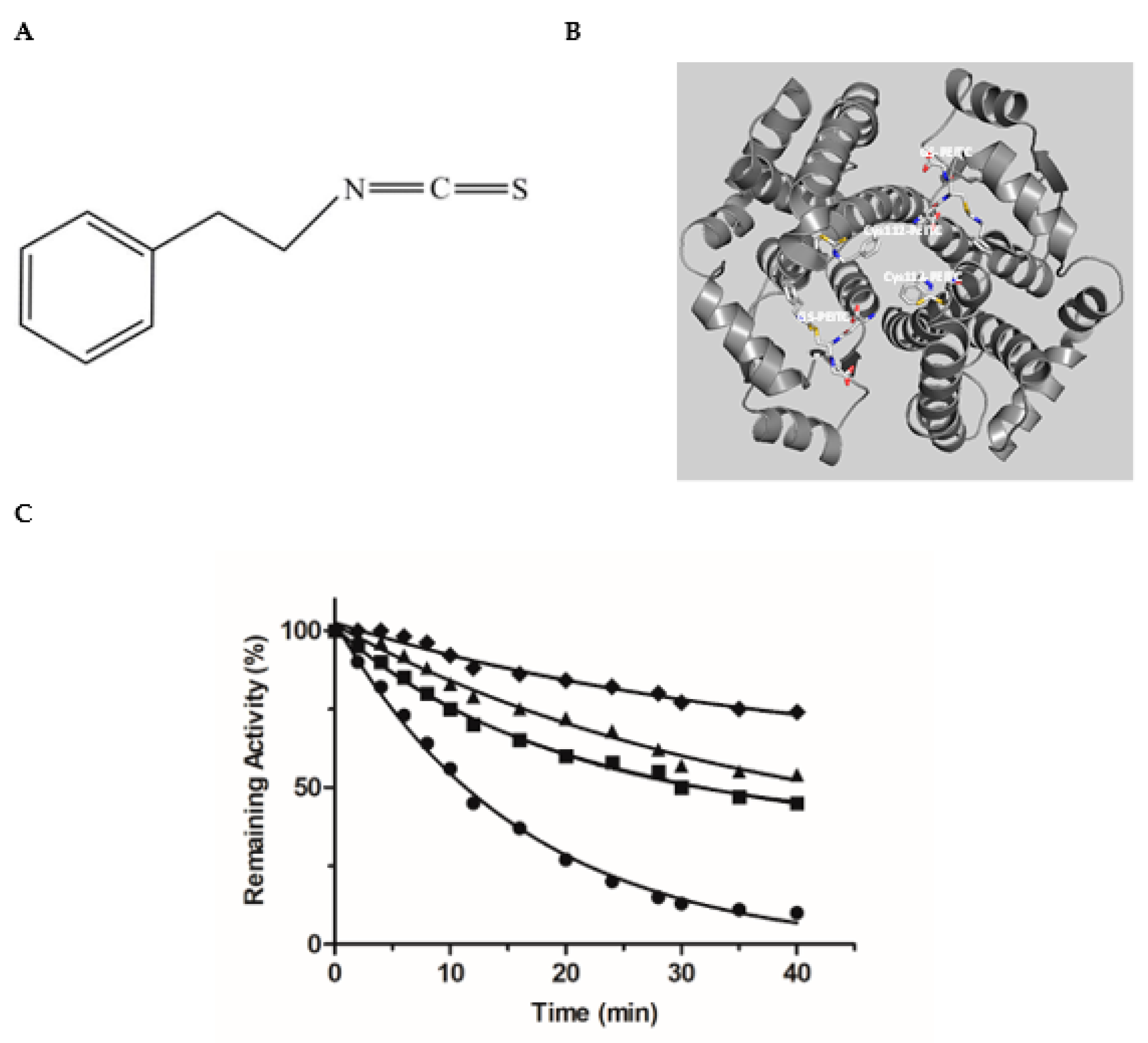 Biomolecules 12 01364 g004 Biomolecules 12 01364 g004
