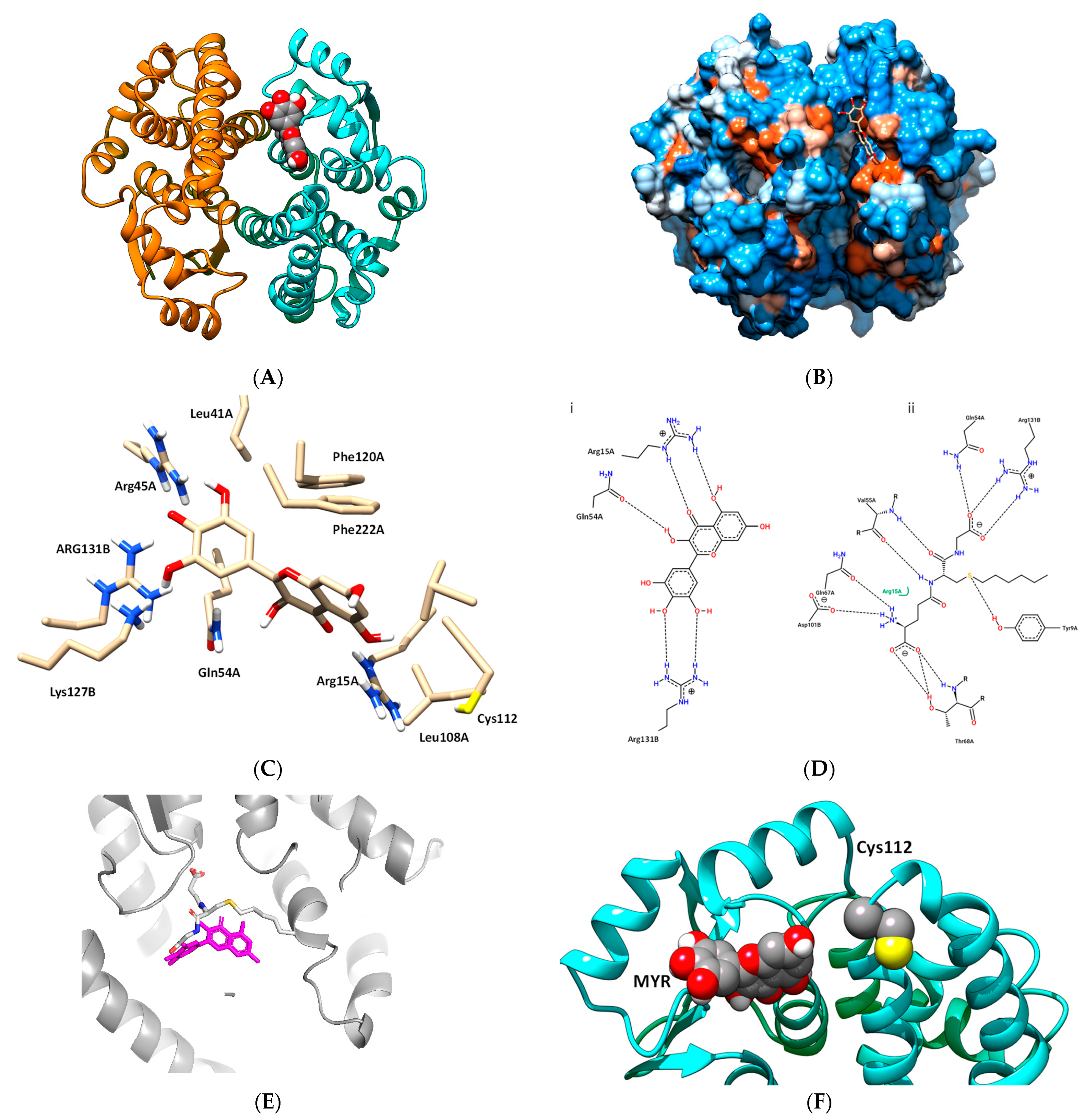 Biomolecules 12 01364 g005 Biomolecules 12 01364 g005