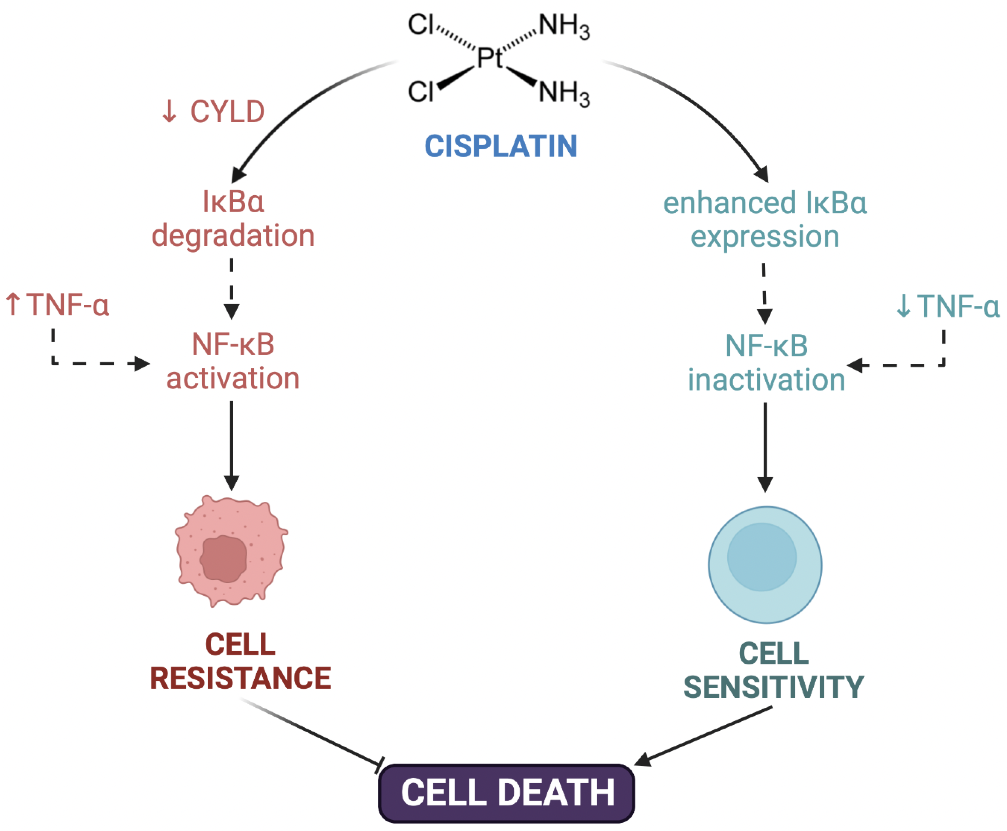 Biomolecules 12 01365 g001 Biomolecules 12 01365 g001