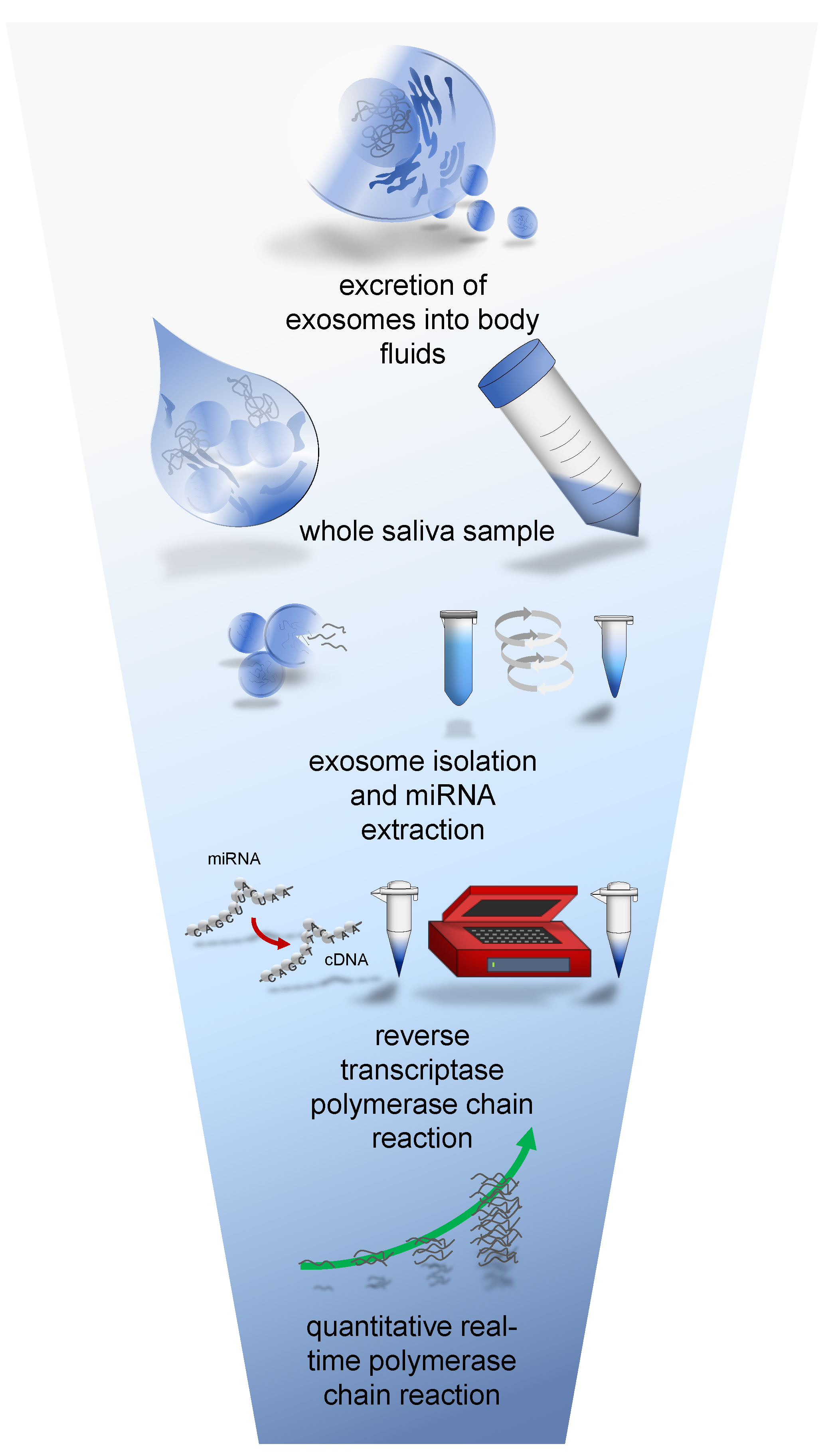 Biomolecules 12 01366 g001 Biomolecules 12 01366 g001