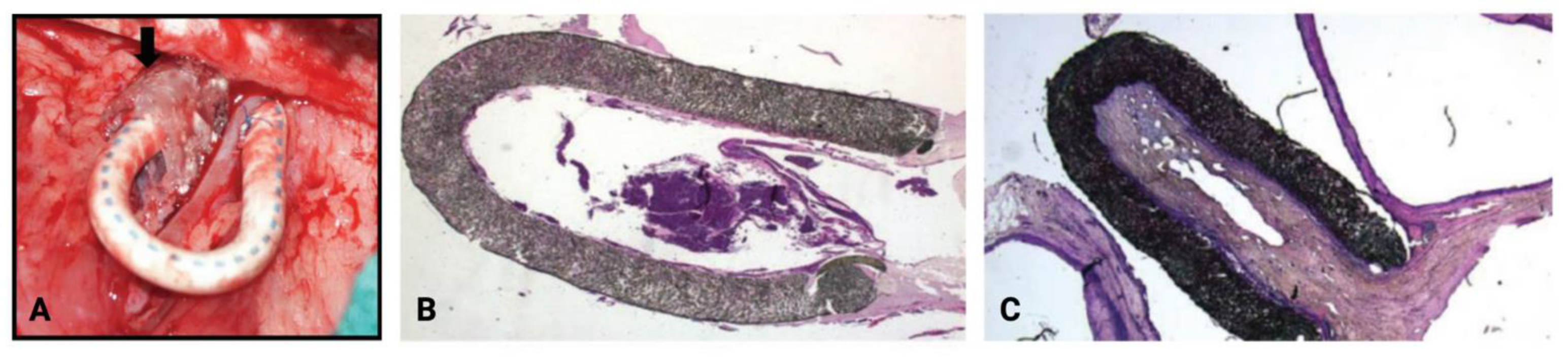 Biomolecules 12 01367 g005