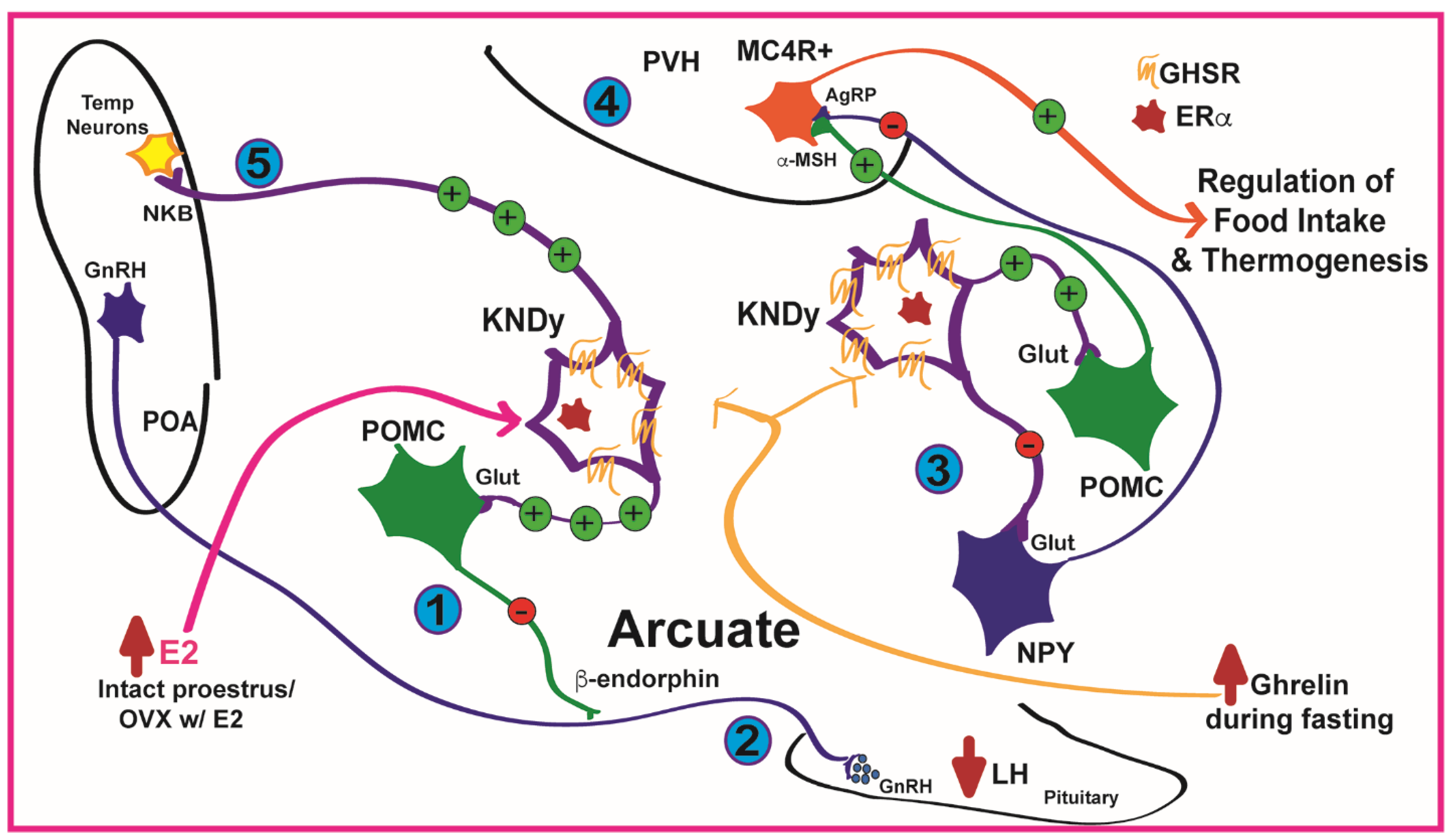 Biomolecules 12 01370 g009 Biomolecules 12 01370 g009