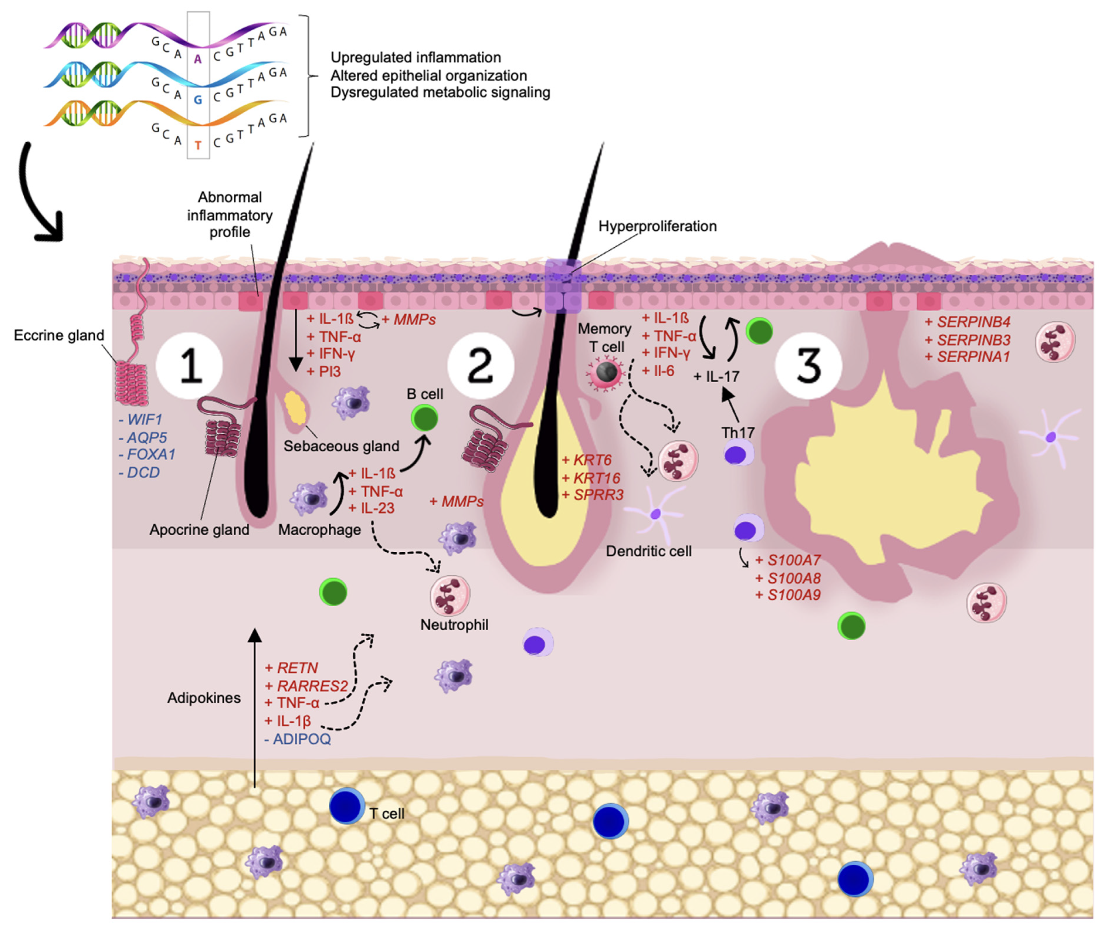 Biomolecules 12 01371 g002 Biomolecules 12 01371 g002