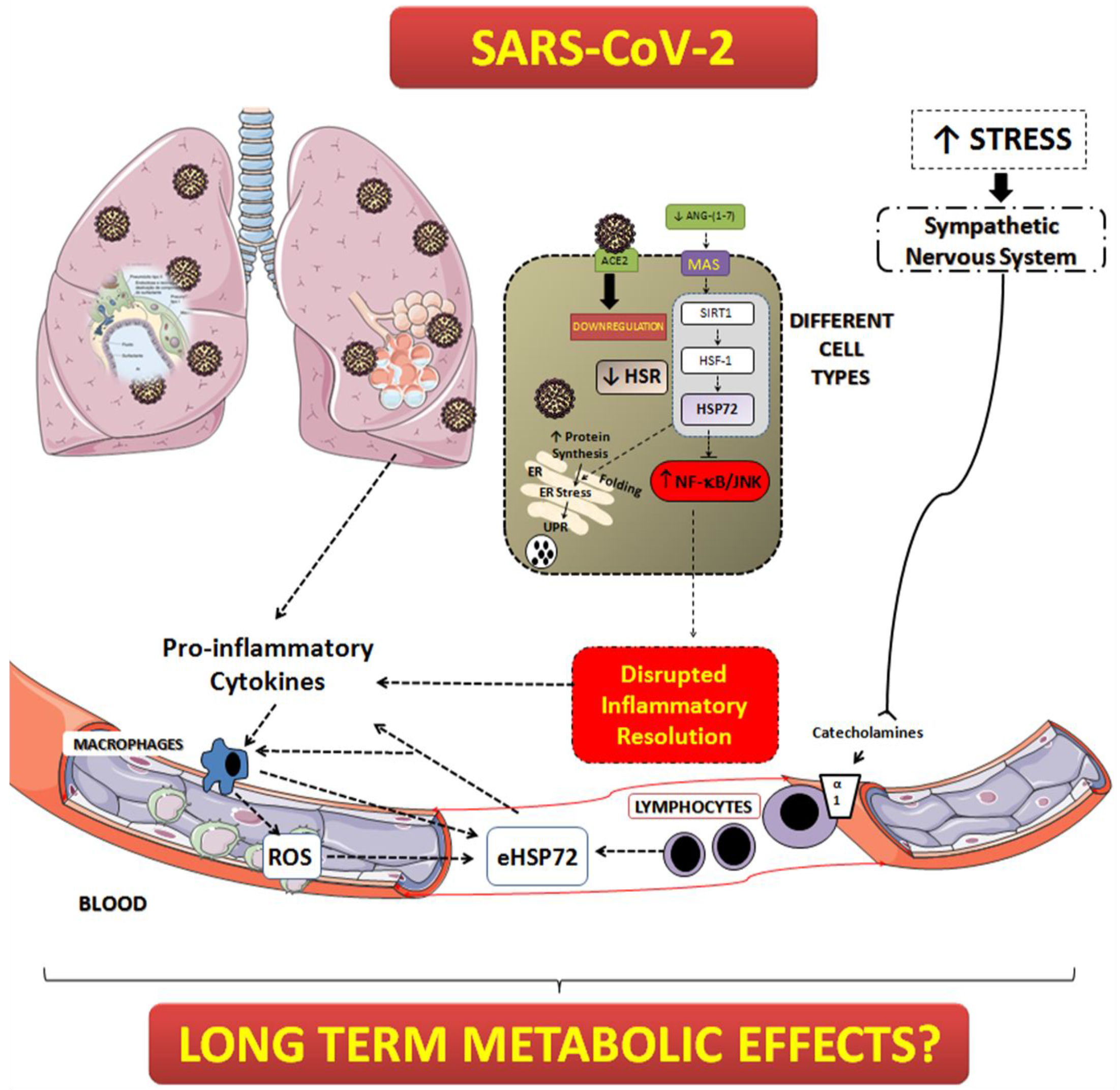 Biomolecules 12 01374 g006 Biomolecules 12 01374 g006