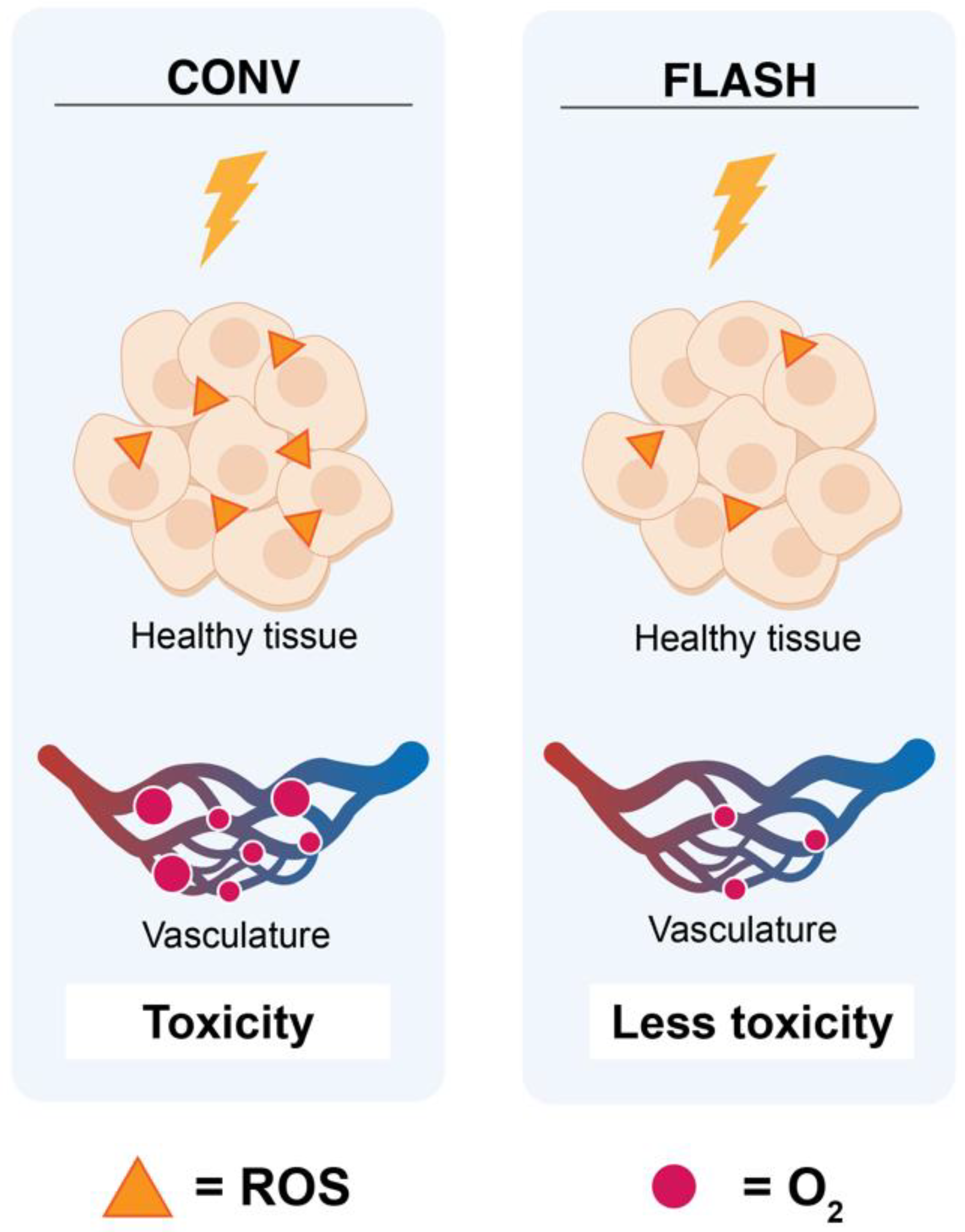 Biomolecules 12 01376 g004 Biomolecules 12 01376 g004