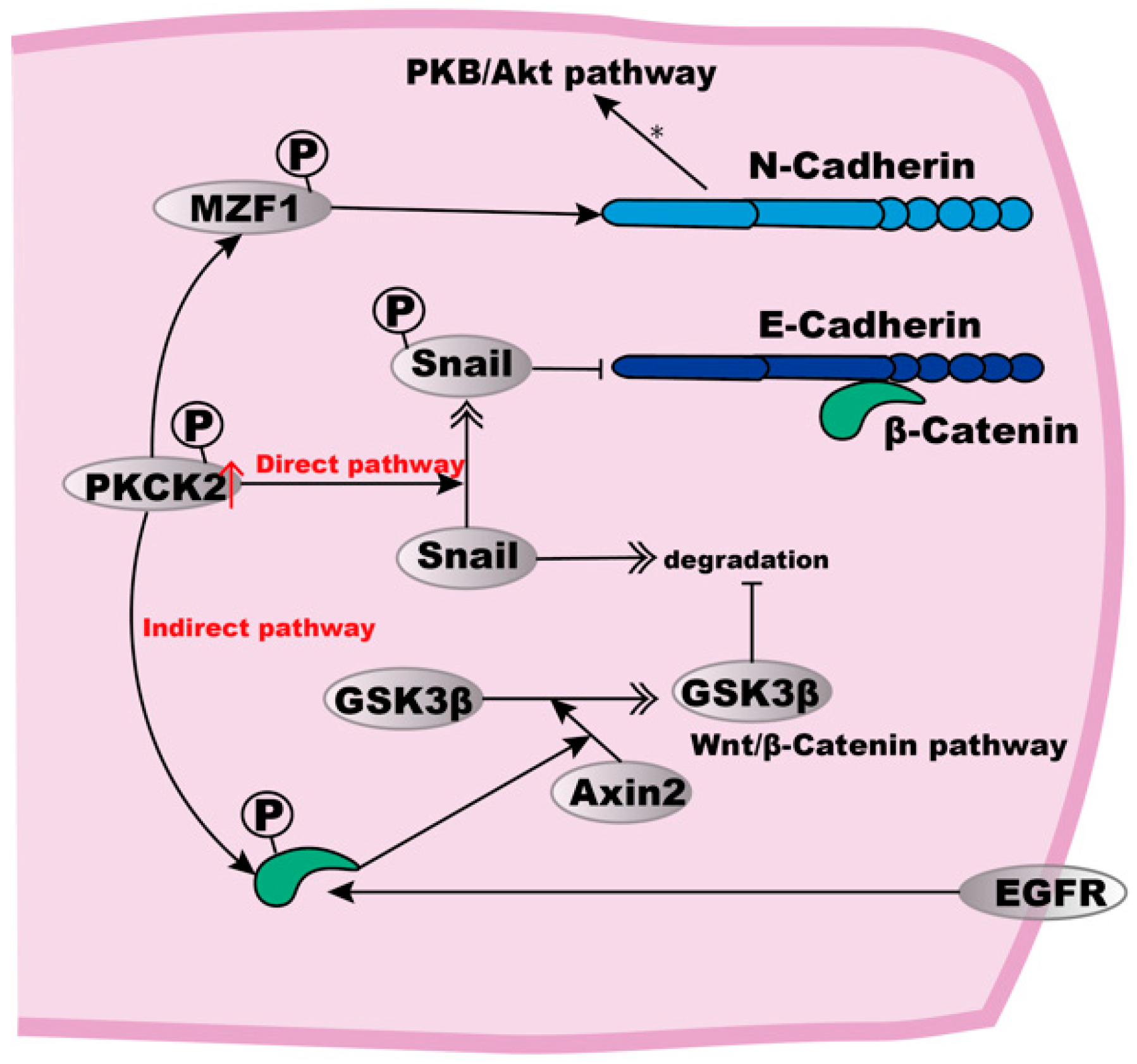 Biomolecules 12 01378 g002 Biomolecules 12 01378 g002