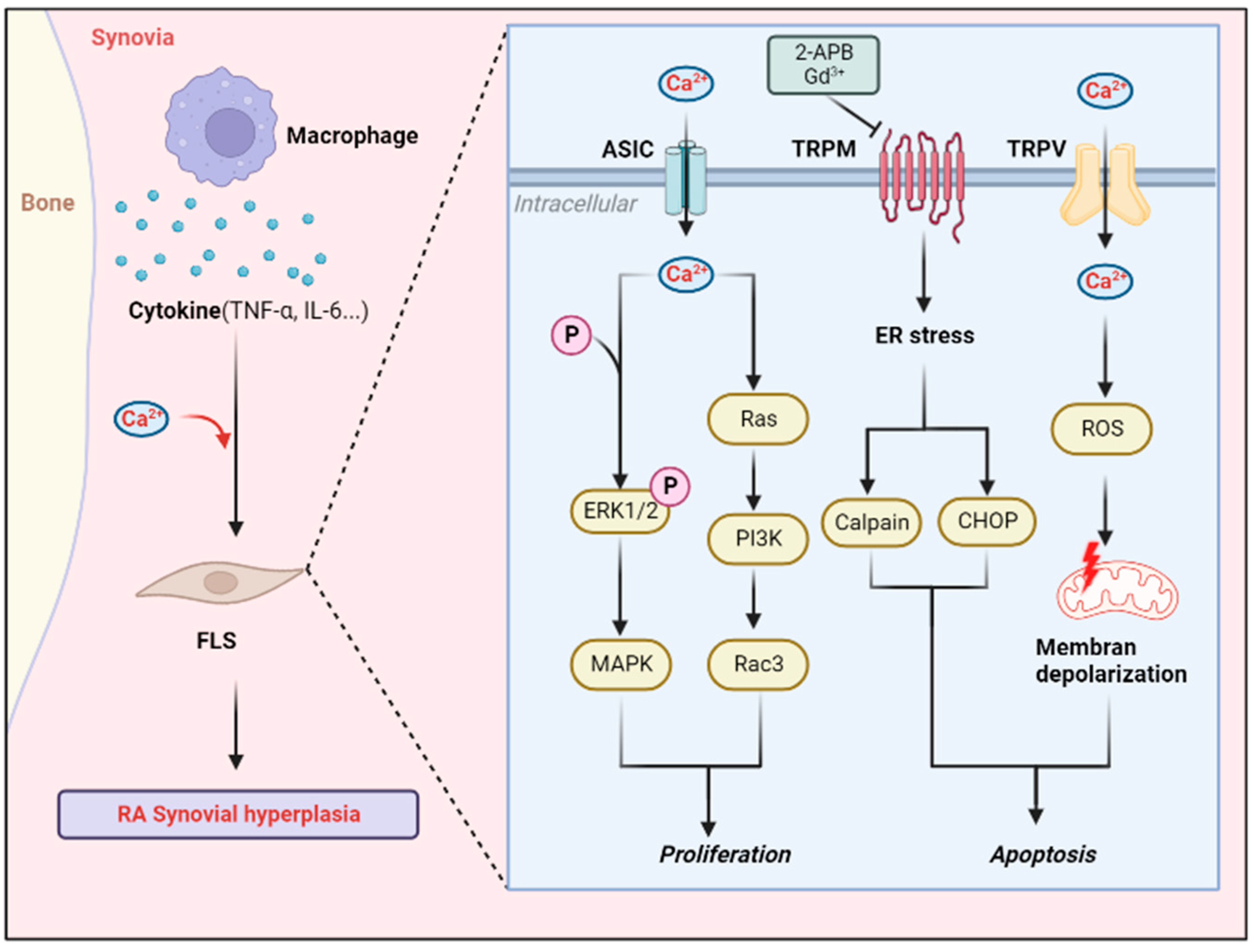 Biomolecules 12 01383 g002 Biomolecules 12 01383 g002