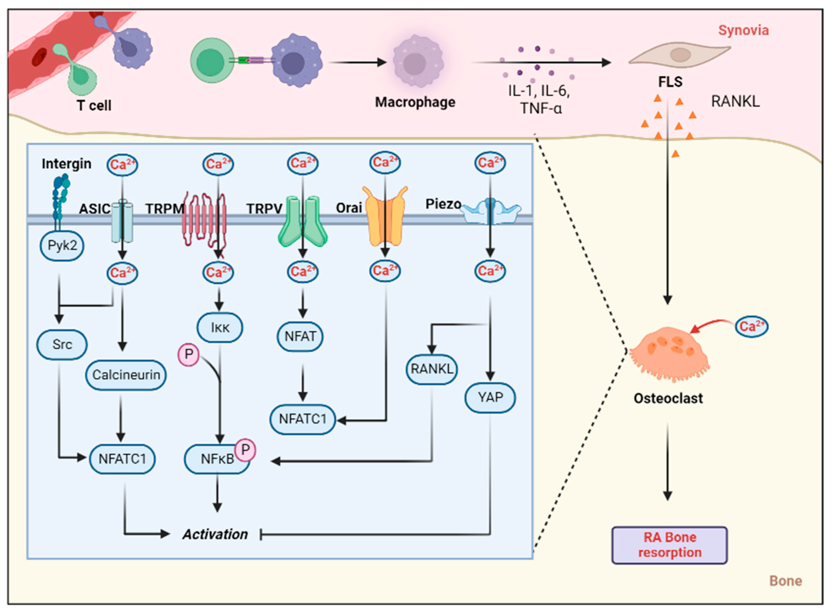 Biomolecules 12 01383 g004 Biomolecules 12 01383 g004