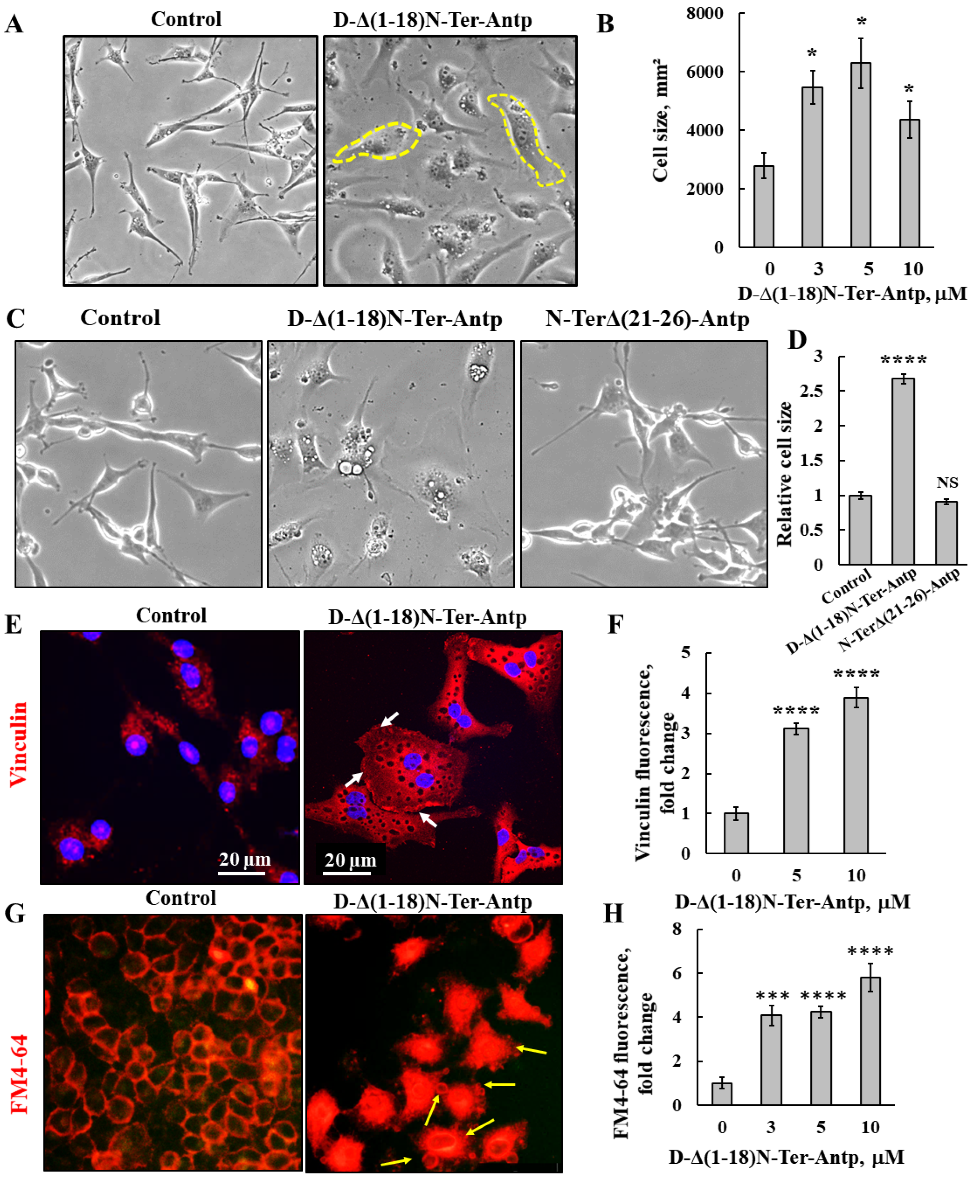 Biomolecules 12 01387 g002 Biomolecules 12 01387 g002