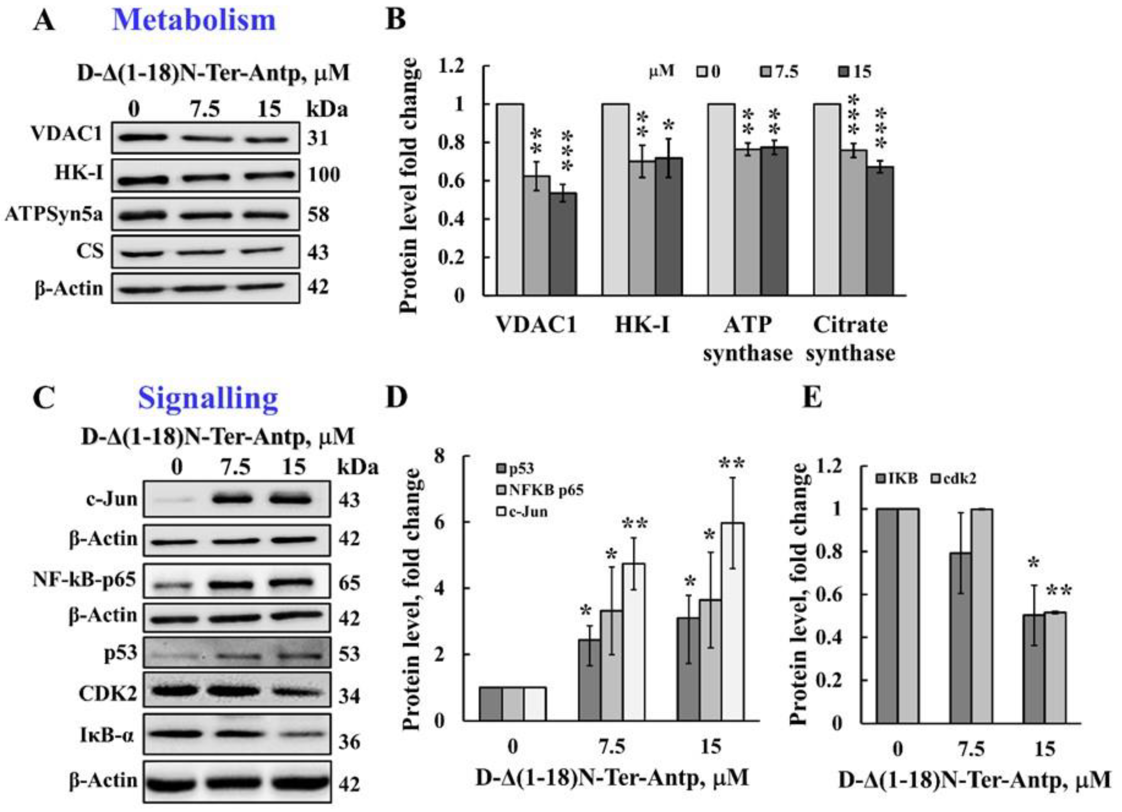 Biomolecules 12 01387 g004 Biomolecules 12 01387 g004