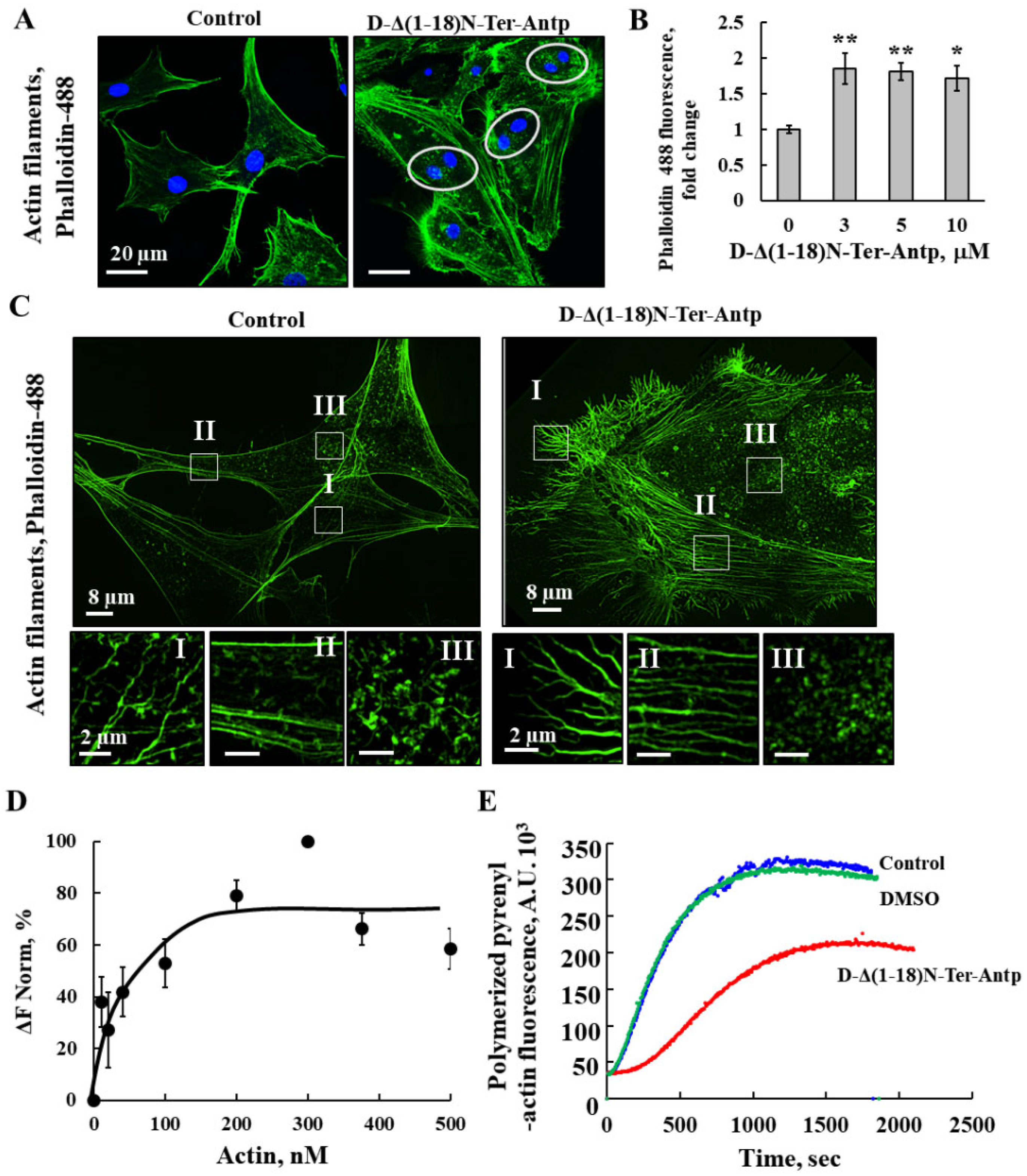 Biomolecules 12 01387 g005 Biomolecules 12 01387 g005