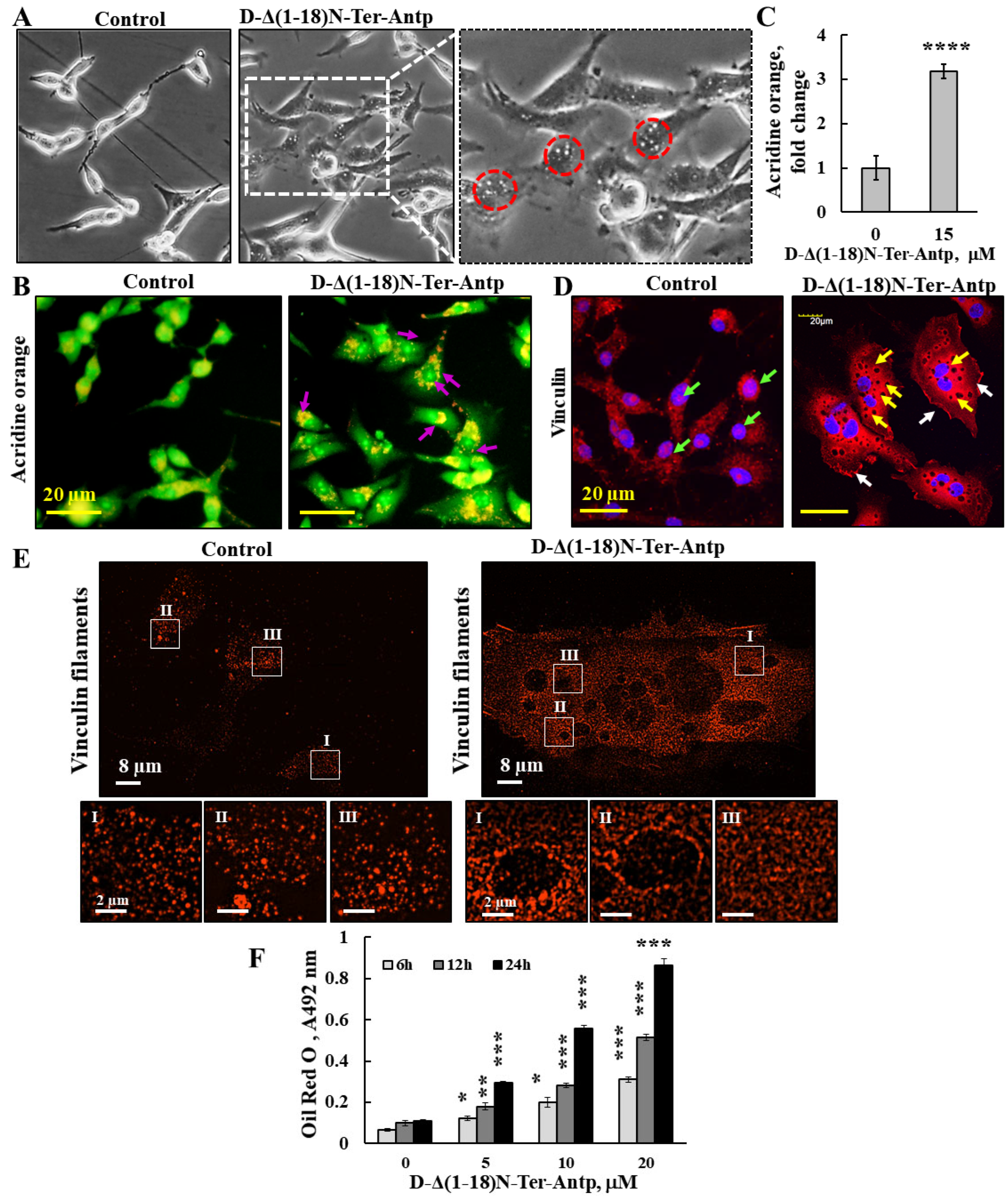 Biomolecules 12 01387 g007 Biomolecules 12 01387 g007