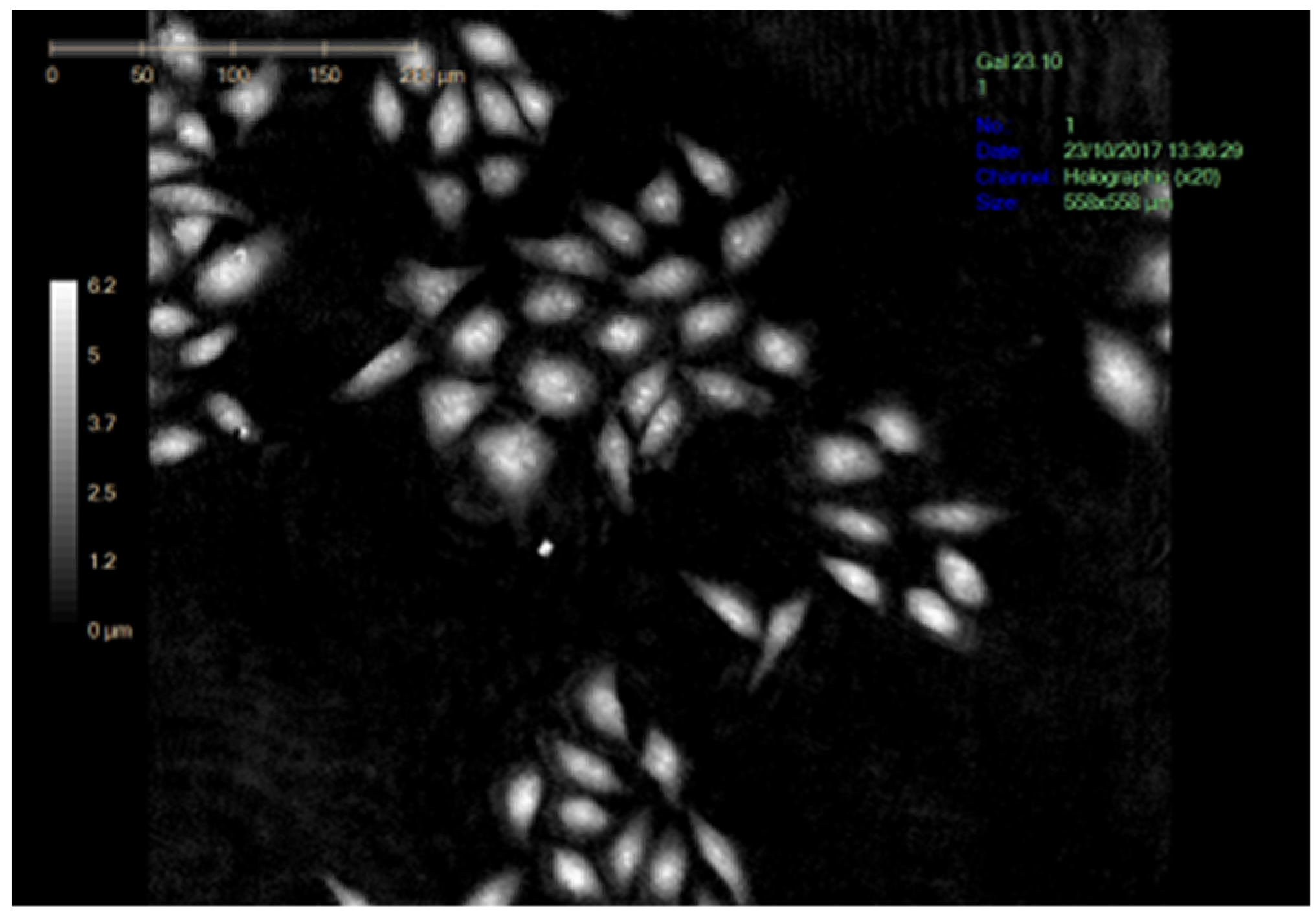 Biomolecules 12 01387 g0a1 Biomolecules 12 01387 g0a1