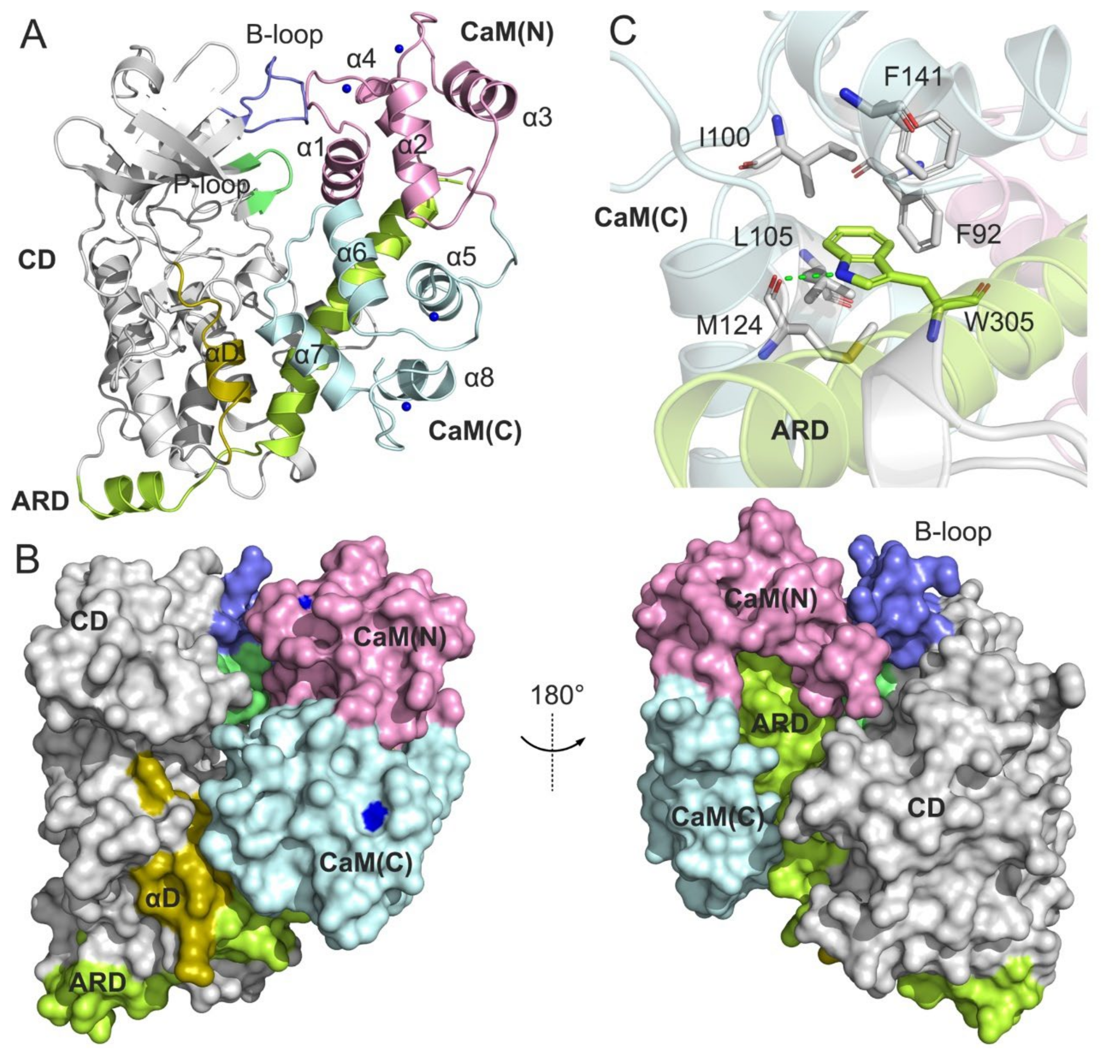 Biomolecules Free Full Text Computational Dissection of the