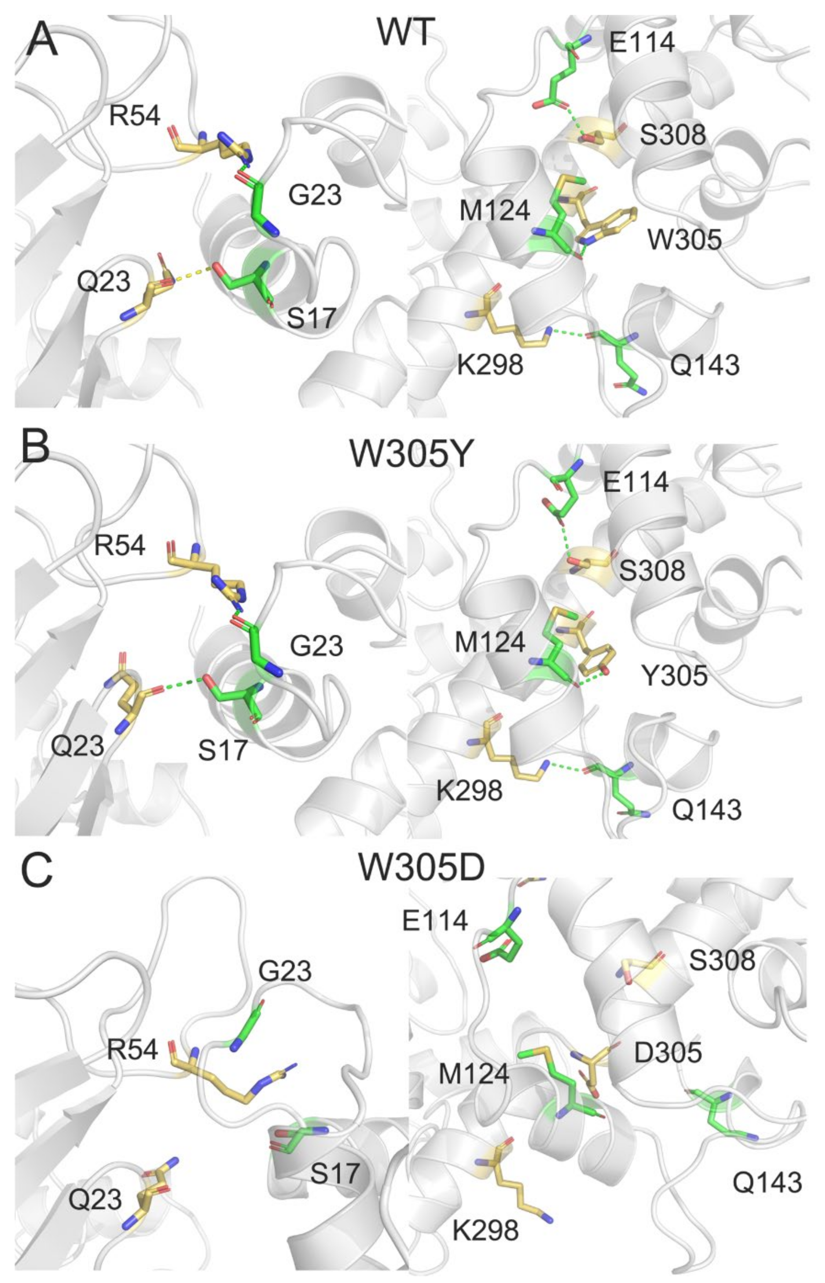 Biomolecules 12 01395 g006 Biomolecules 12 01395 g006