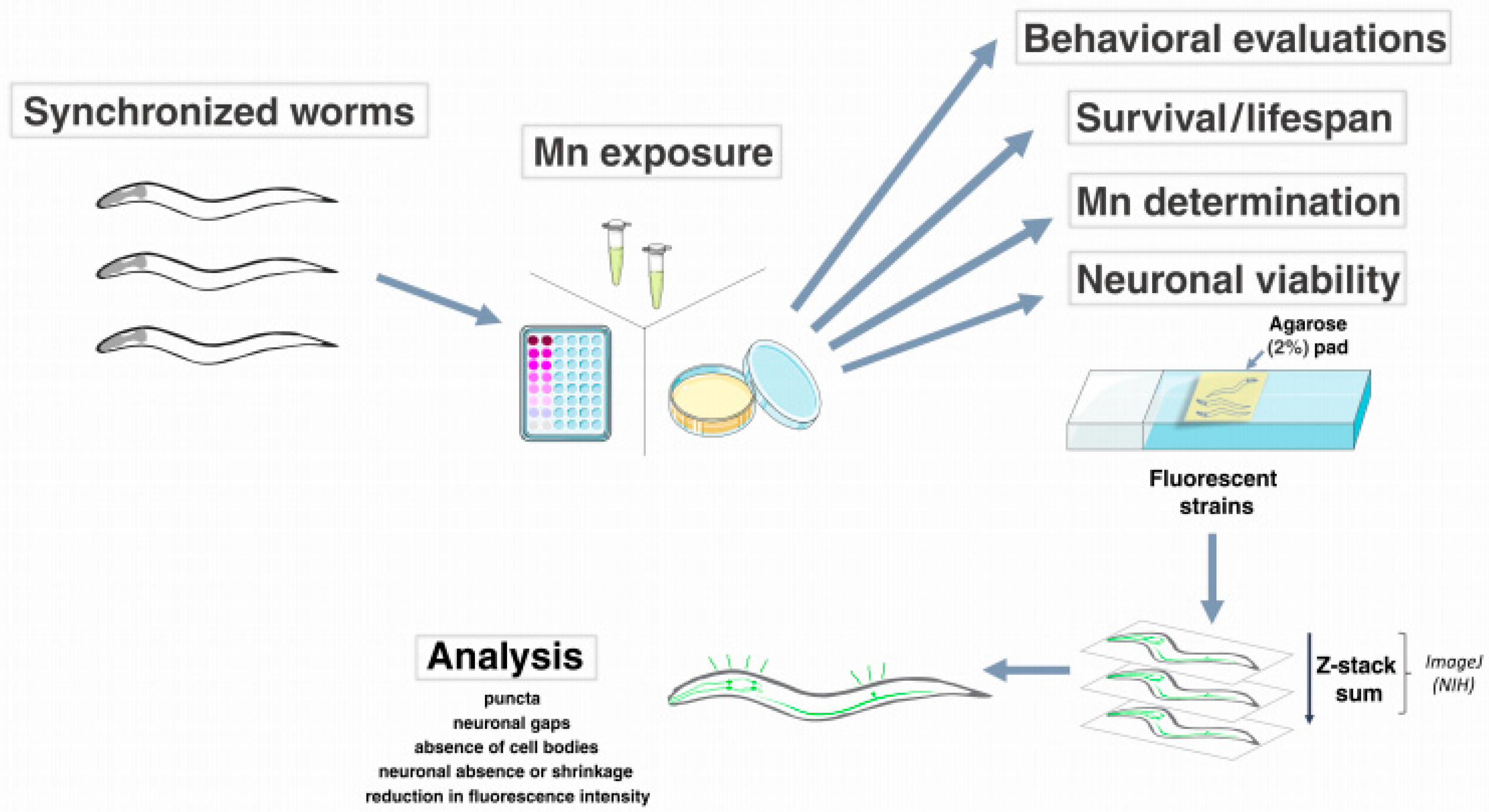 Biomolecules 12 01396 g001 Biomolecules 12 01396 g001