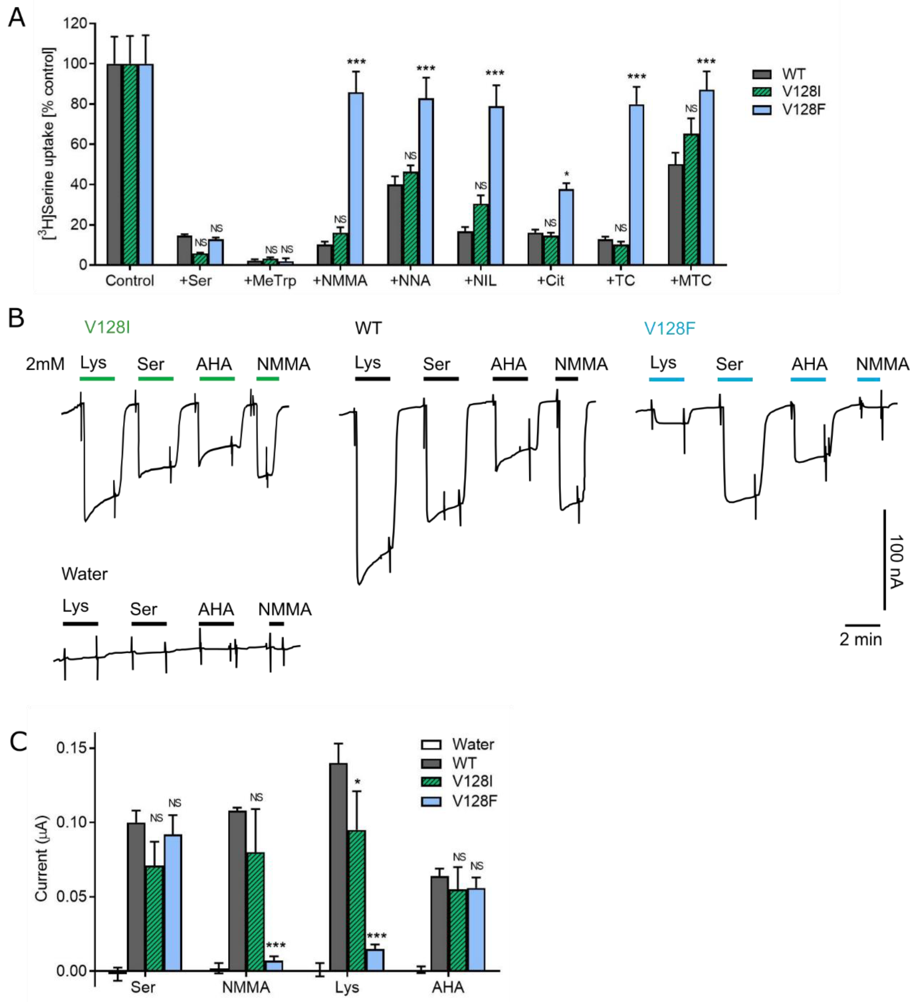 Biomolecules 12 01404 g004