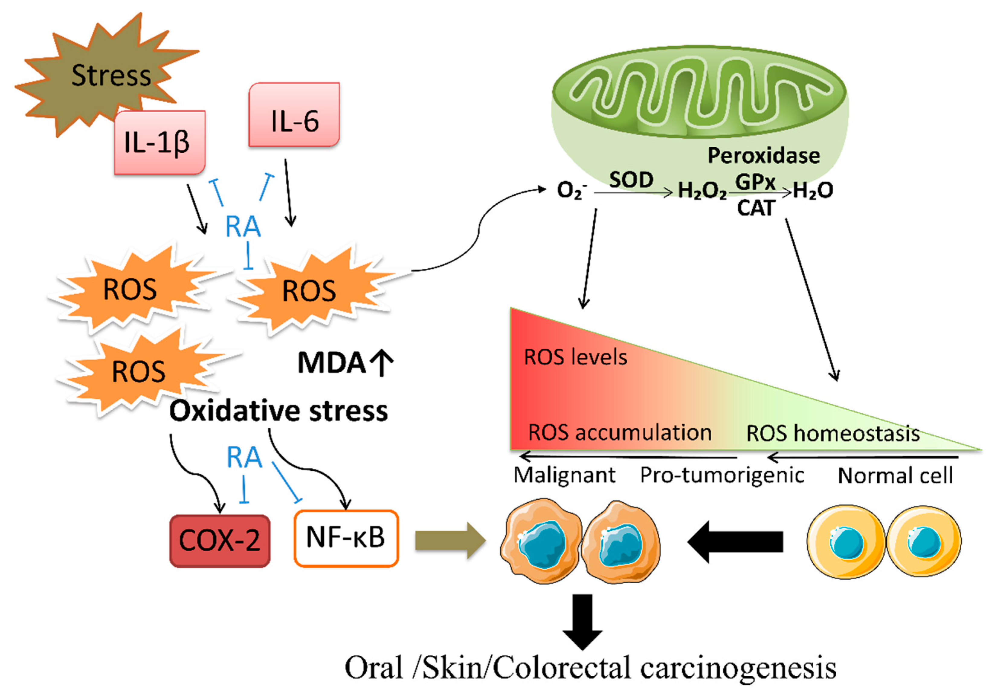 Biomolecules 12 01410 g002 Biomolecules 12 01410 g002