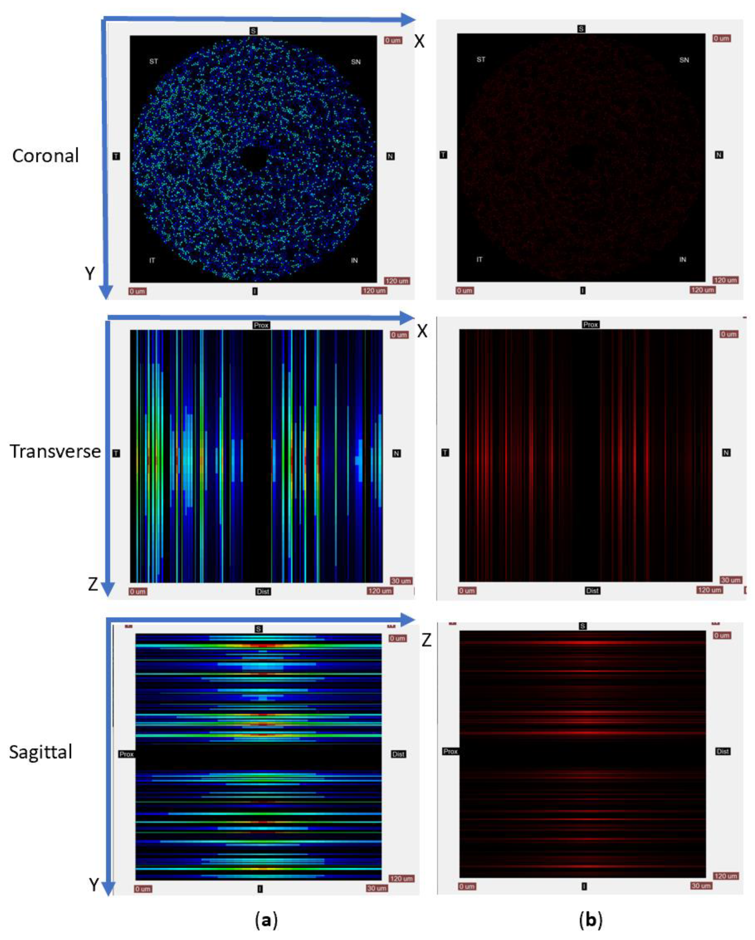 Biomolecules 12 01411 g003