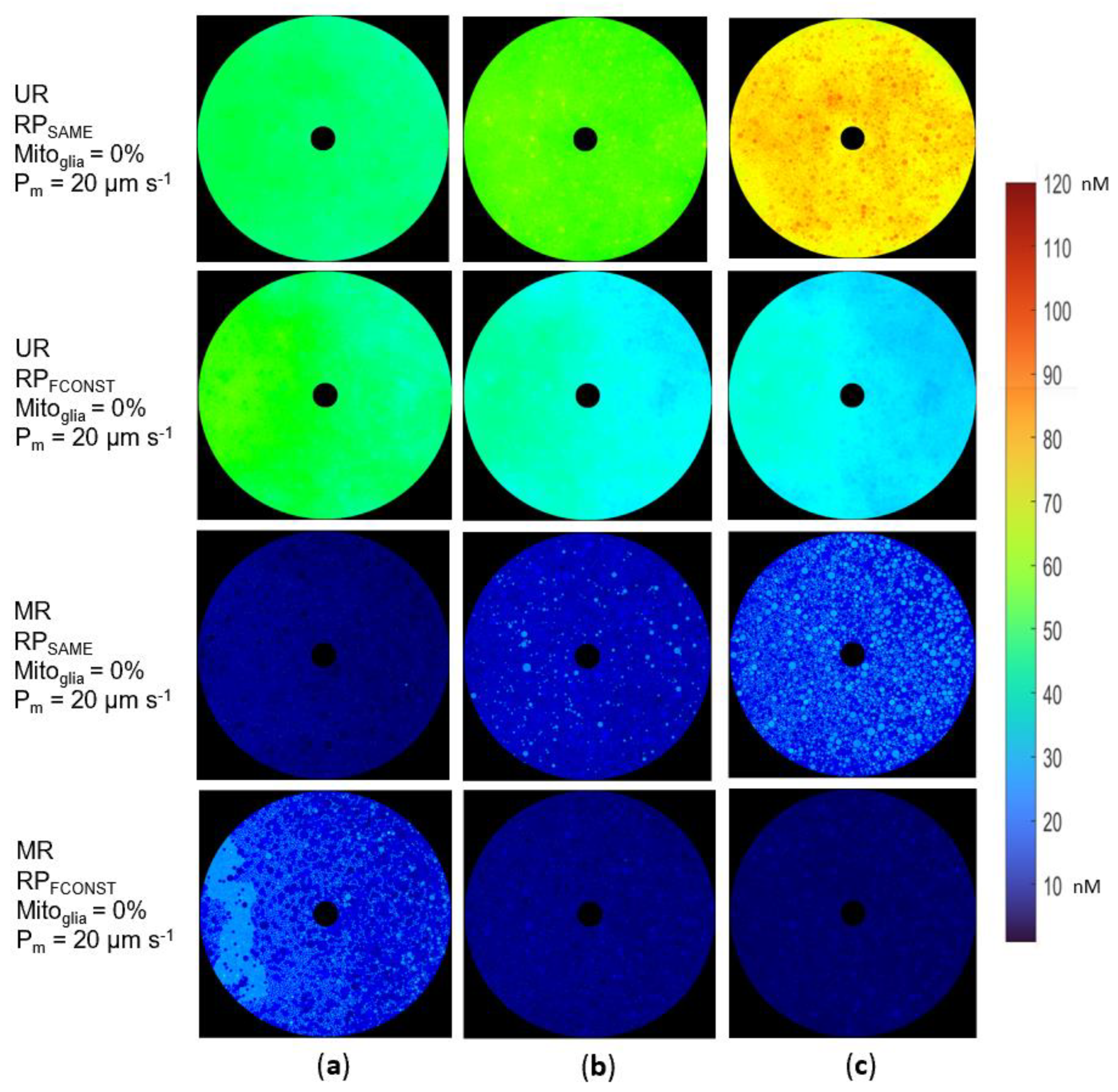 Biomolecules 12 01411 g006