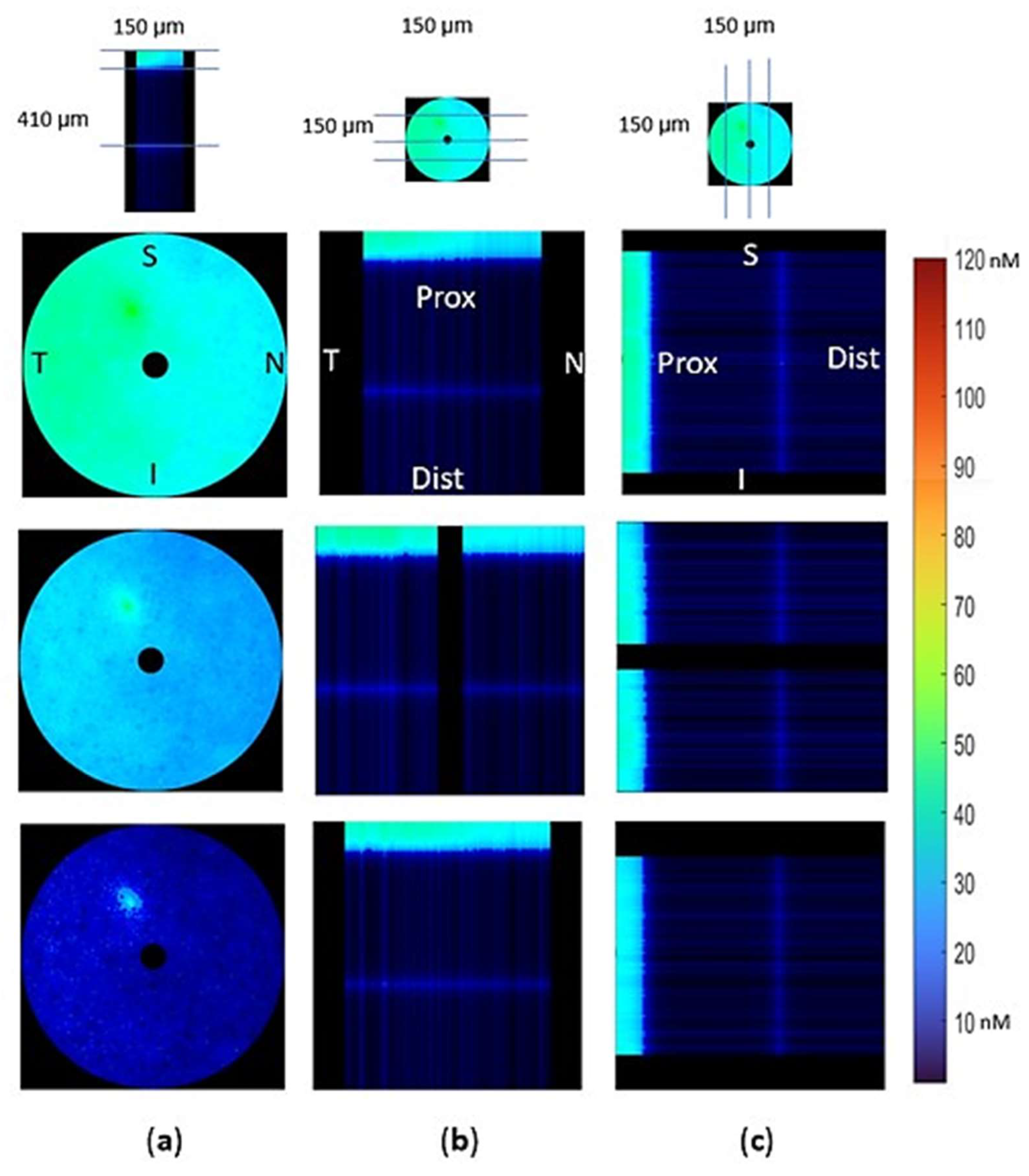 Biomolecules 12 01411 g007