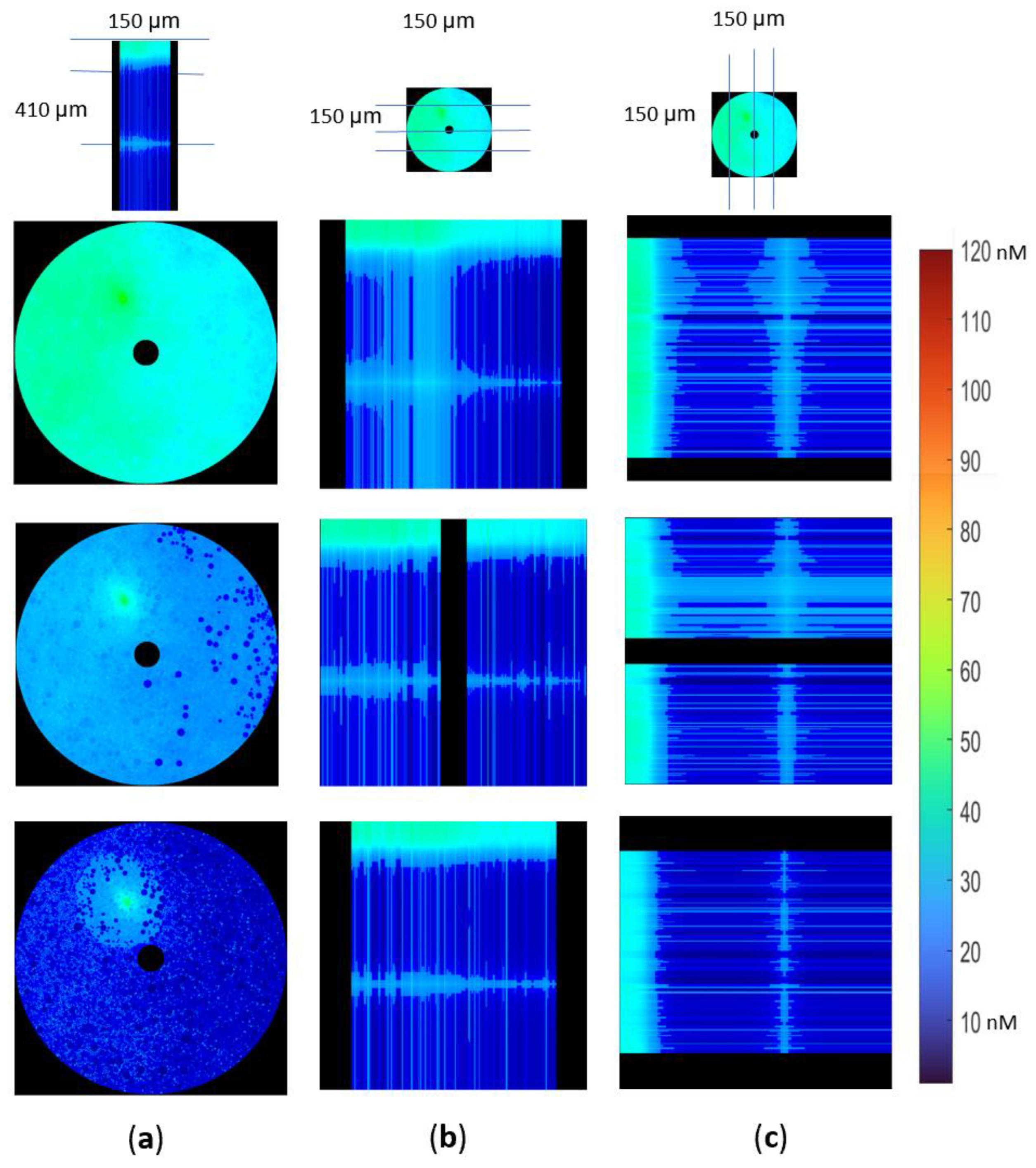 Biomolecules 12 01411 g008