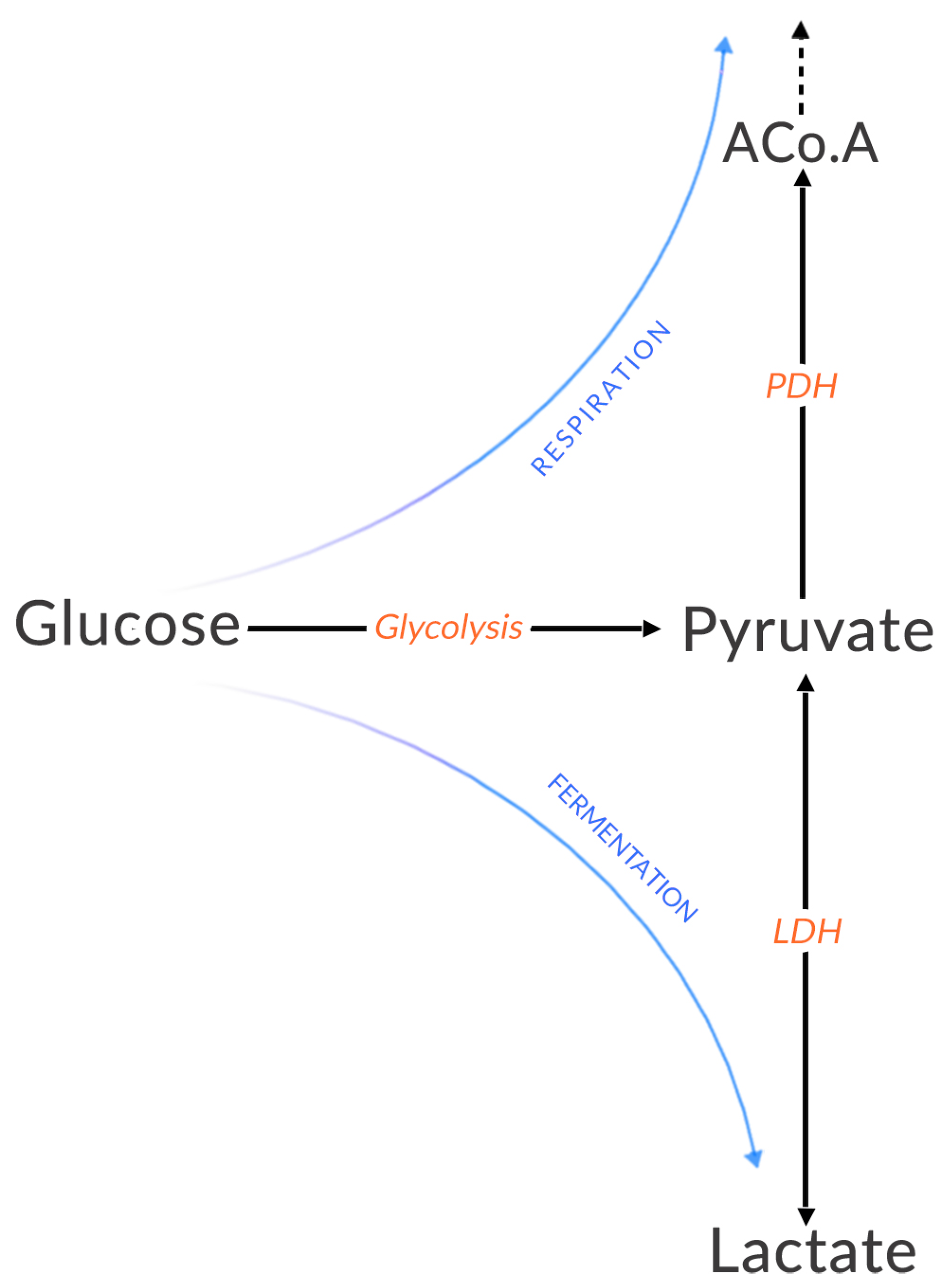 Why Isn't Slope Run Over Rise? – The Math Doctors