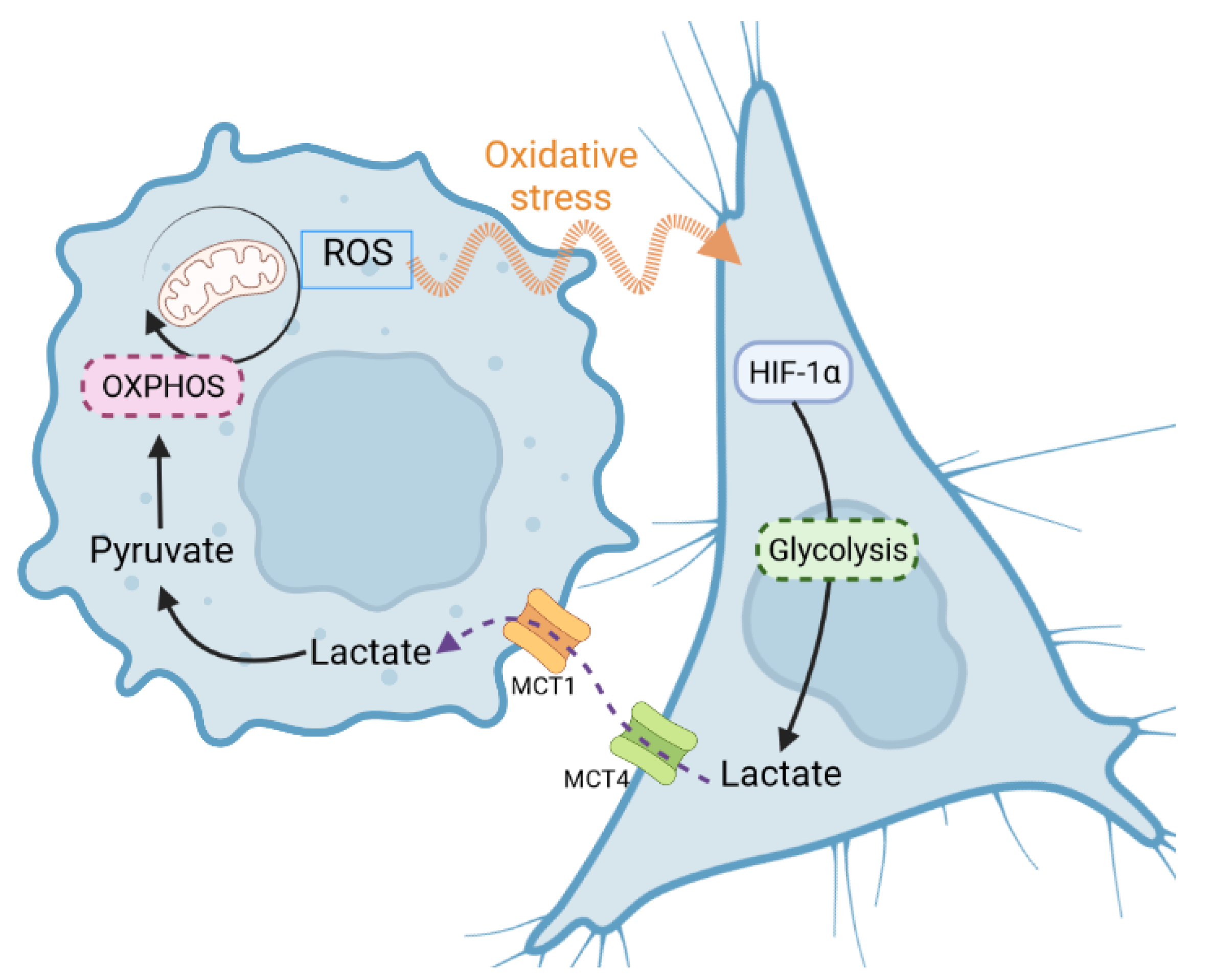 Biomolecules 12 01412 g007