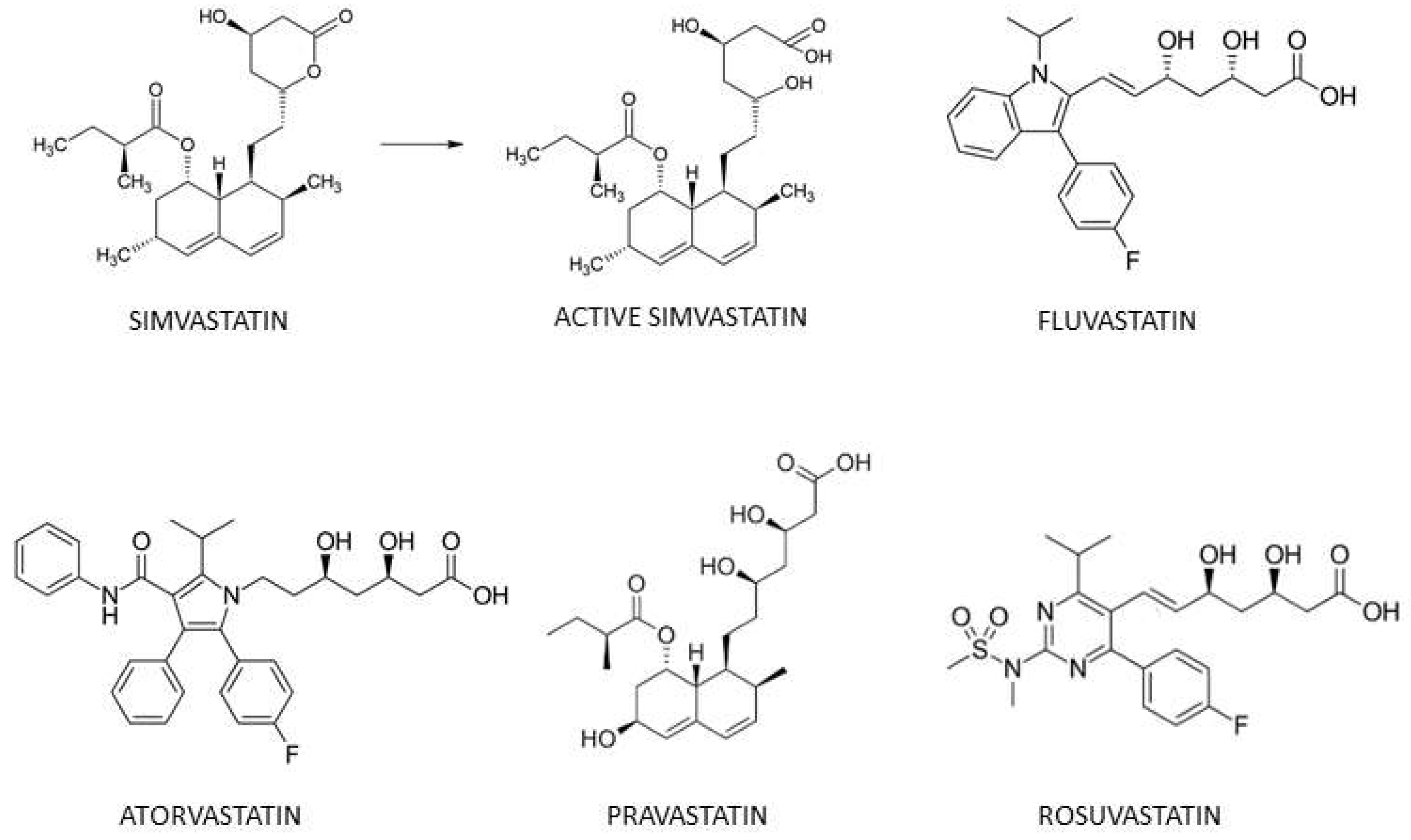 Biomolecules 12 01418 g001
