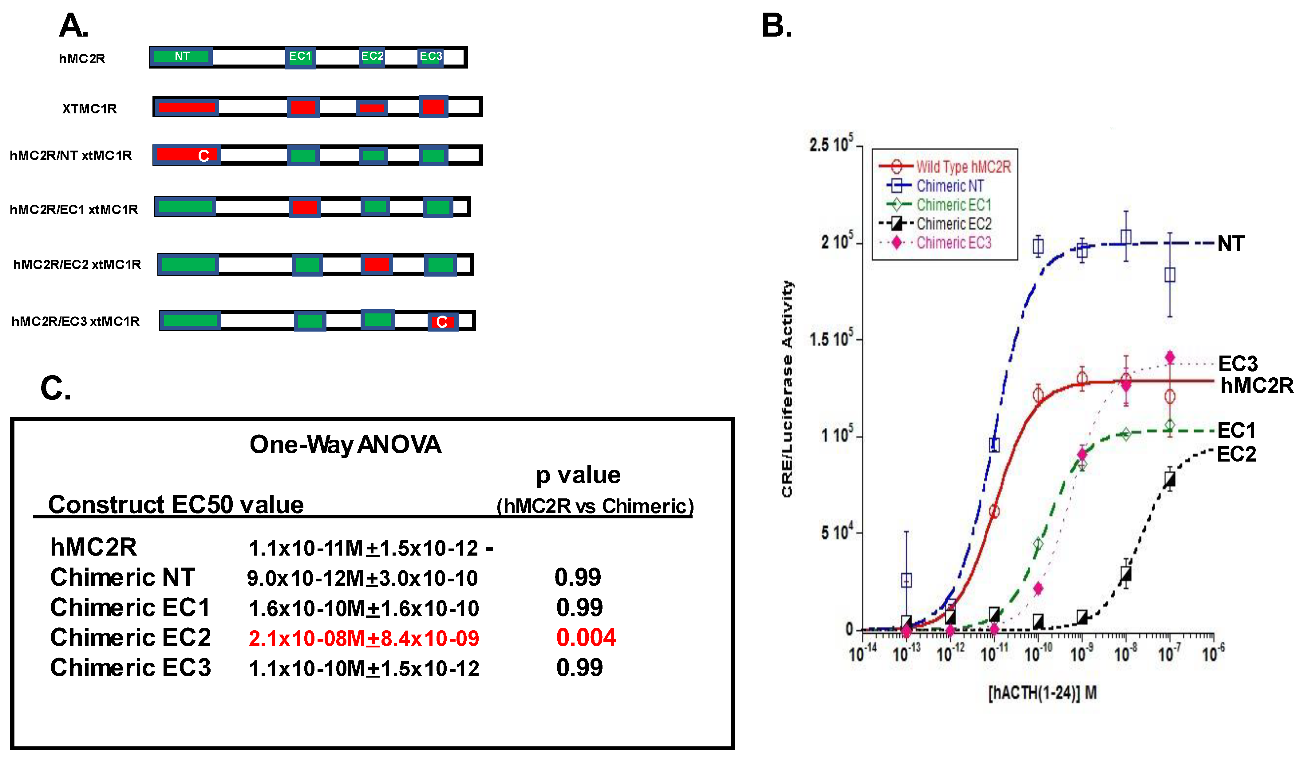 Biomolecules 12 01422 g002 Biomolecules 12 01422 g002