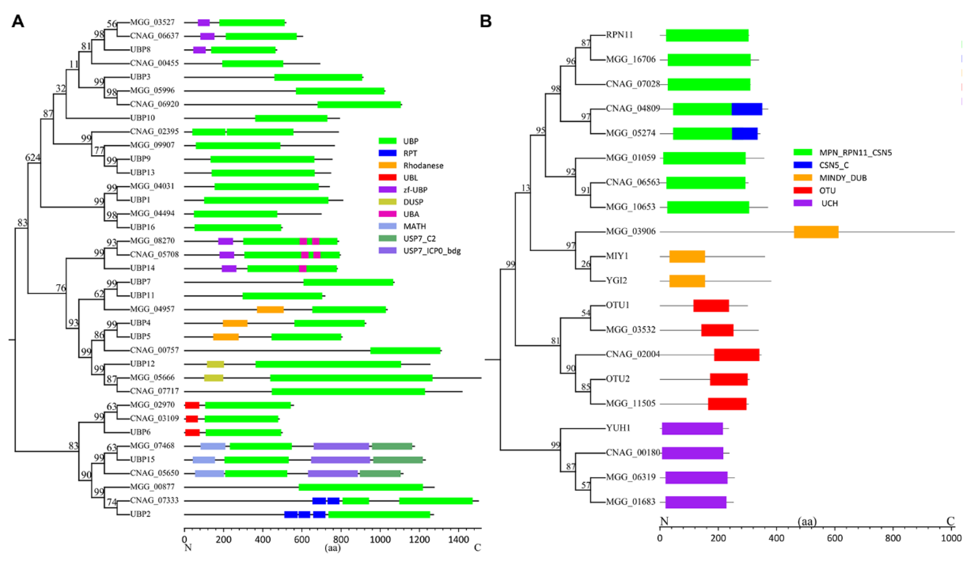 Biomolecules 12 01424 g002