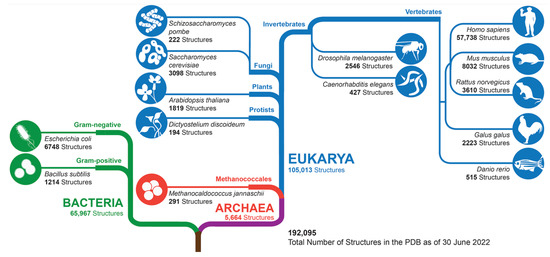 Protein Data Bank: A Comprehensive Review of 3D Structure Holdings and ...