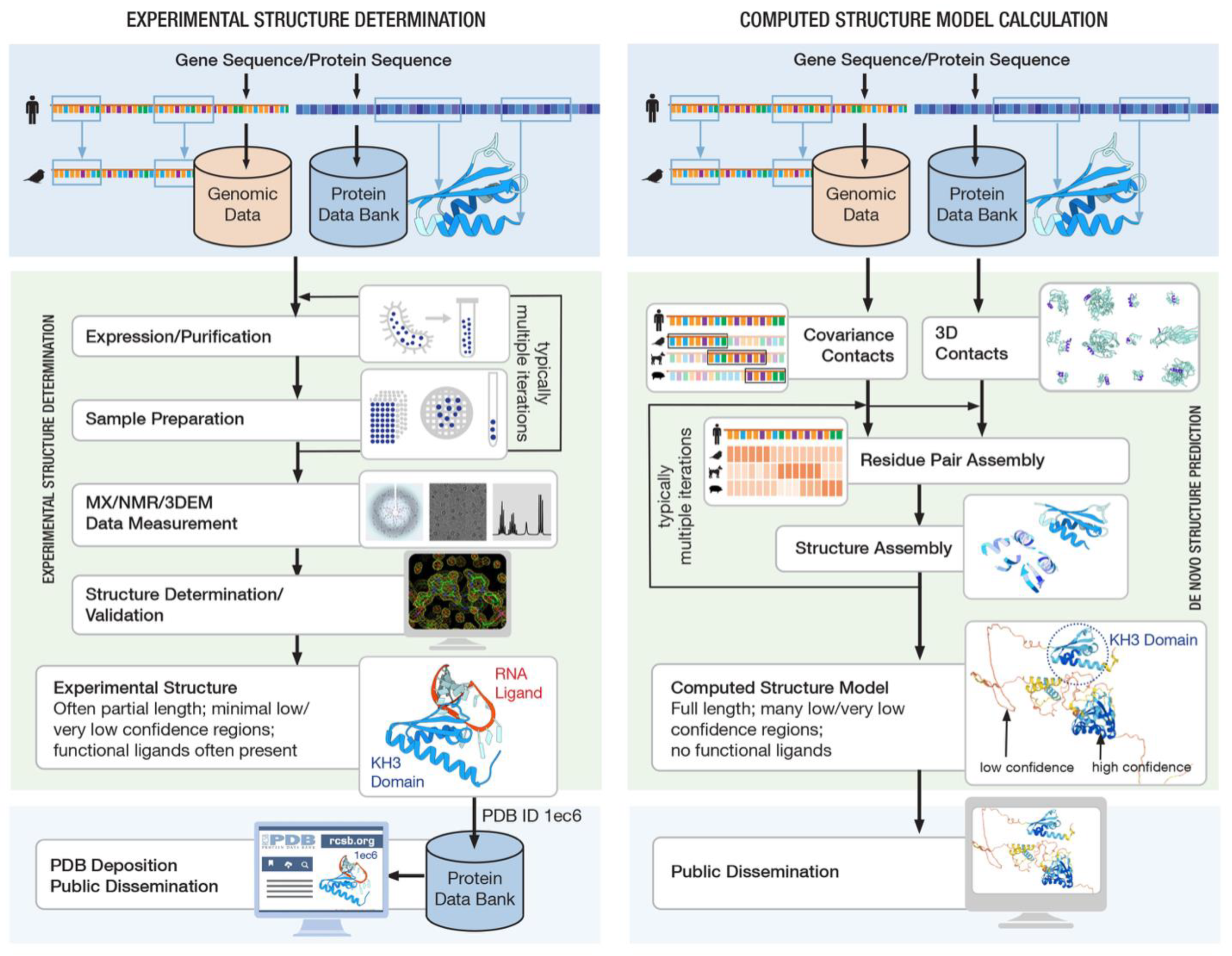 Biomolecules 12 01425 g010 Biomolecules 12 01425 g010
