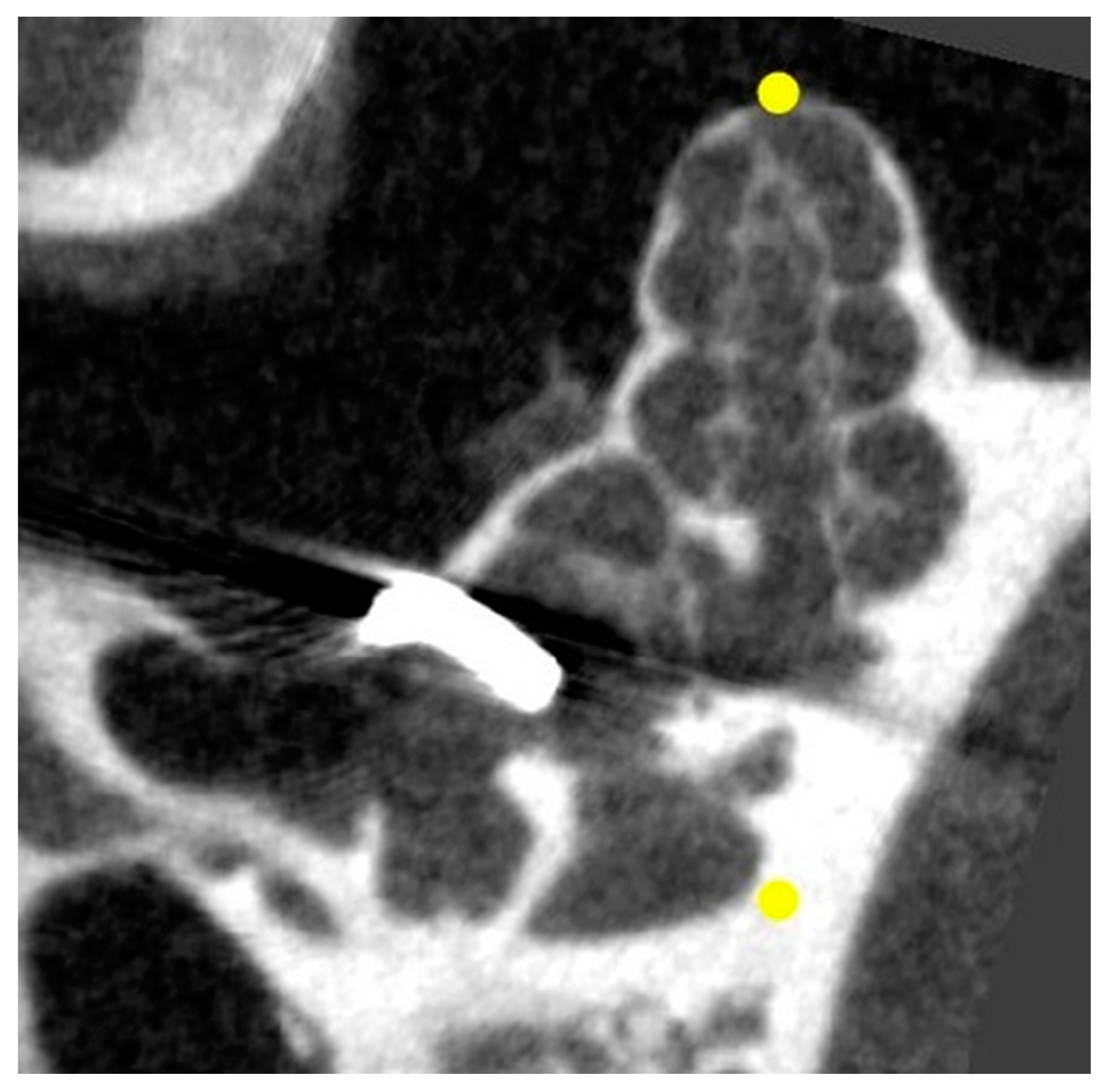 Biomolecules 12 01427 g013 Biomolecules 12 01427 g013