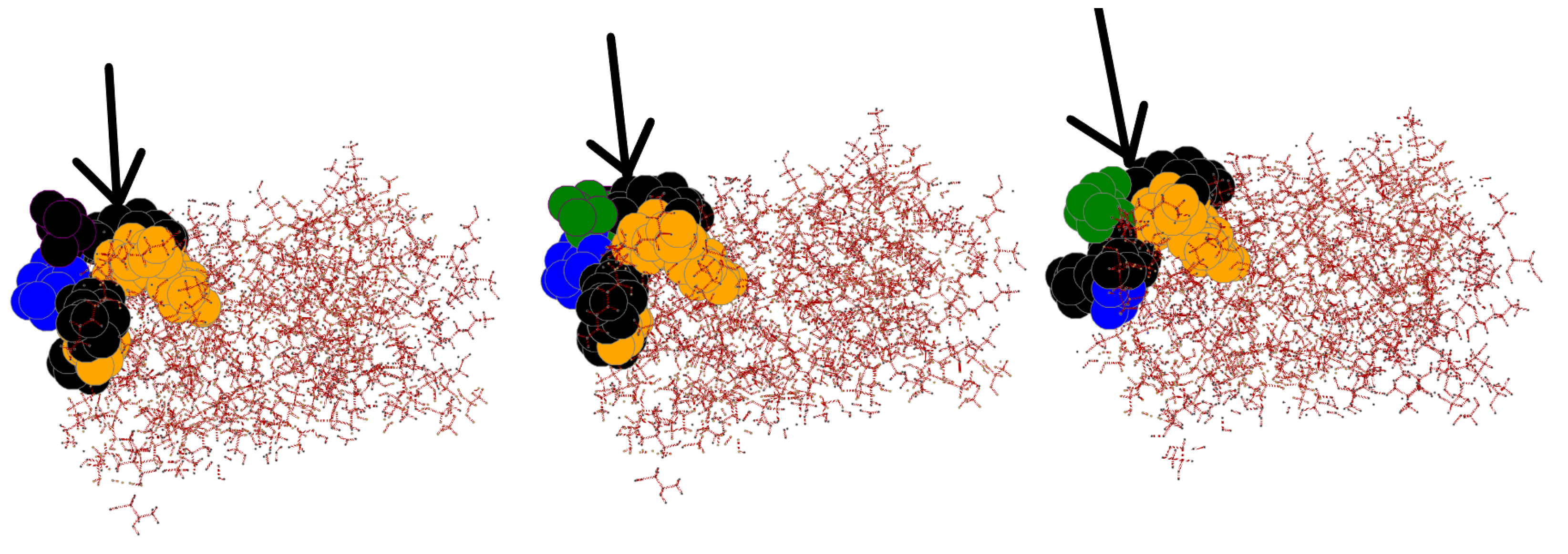 Biomolecules 12 01435 g005