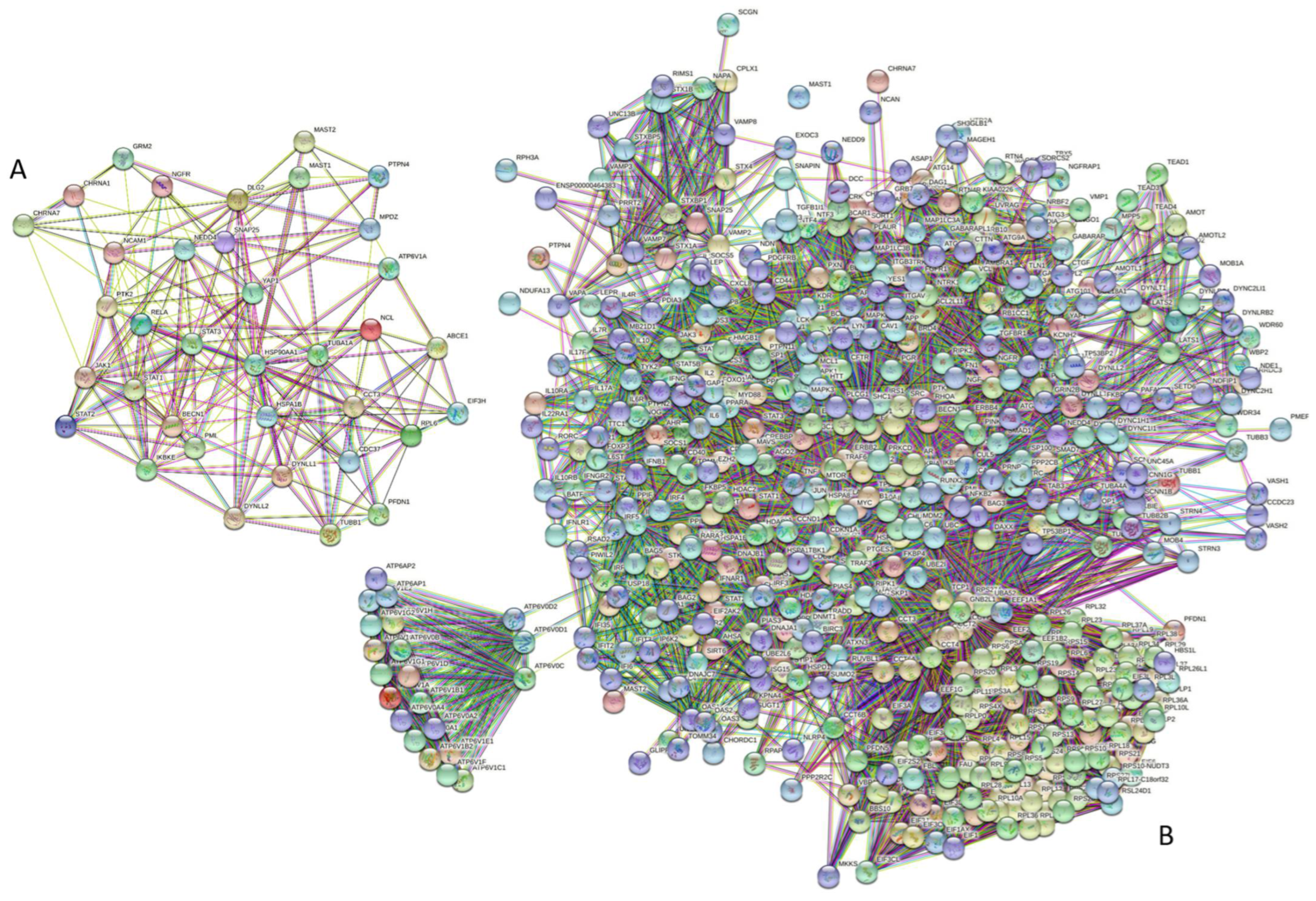 Biomolecules 12 01436 g008 Biomolecules 12 01436 g008