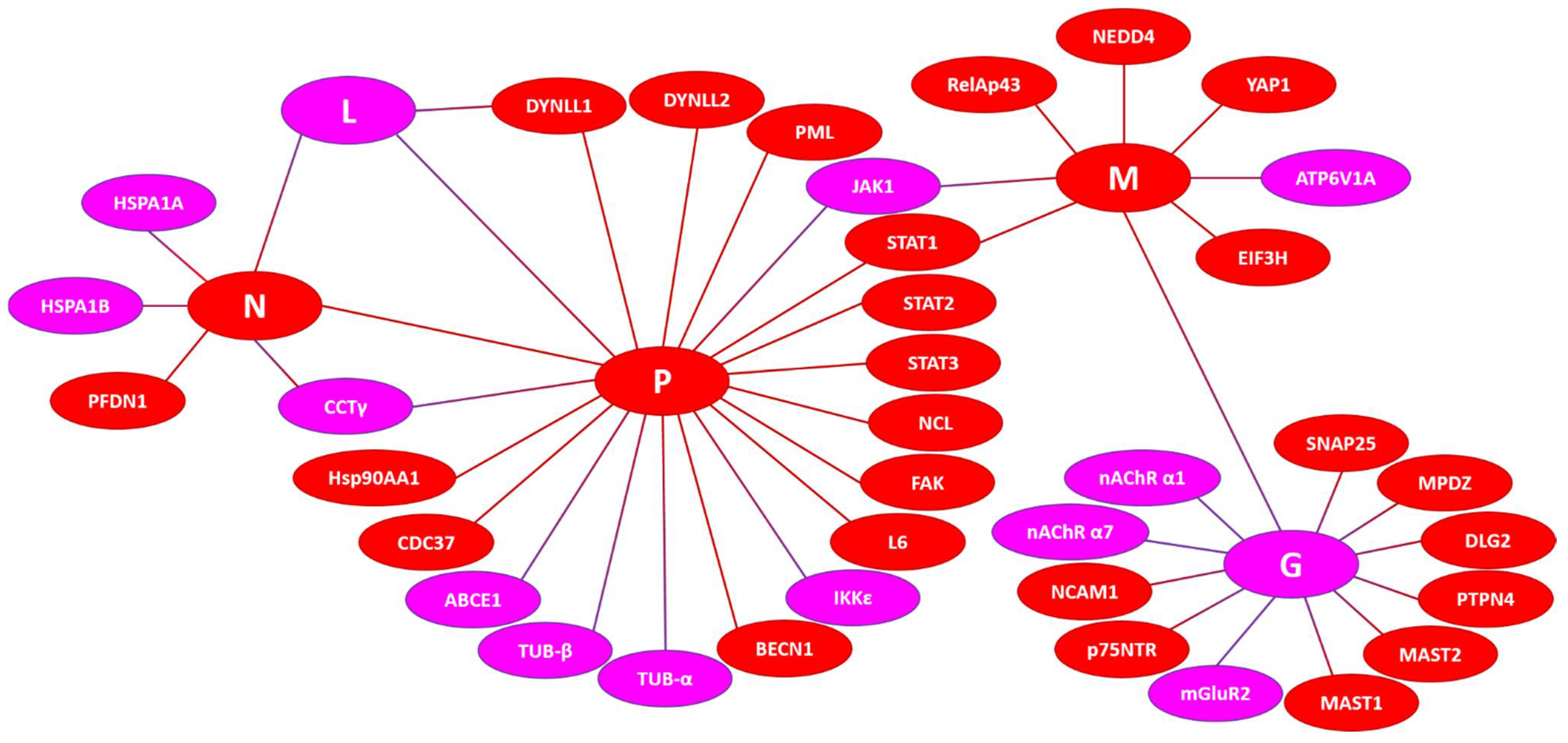 Biomolecules 12 01436 g009 Biomolecules 12 01436 g009