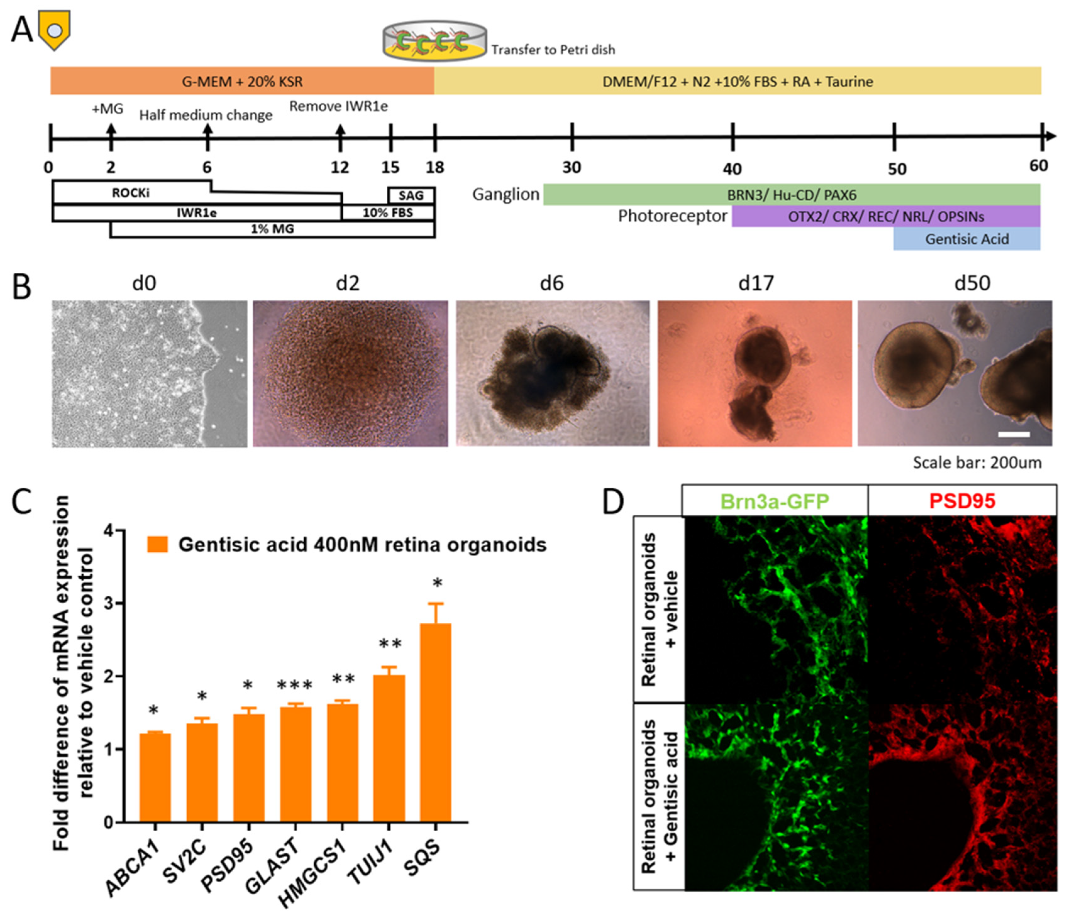 Biomolecules 12 01437 g001 Biomolecules 12 01437 g001