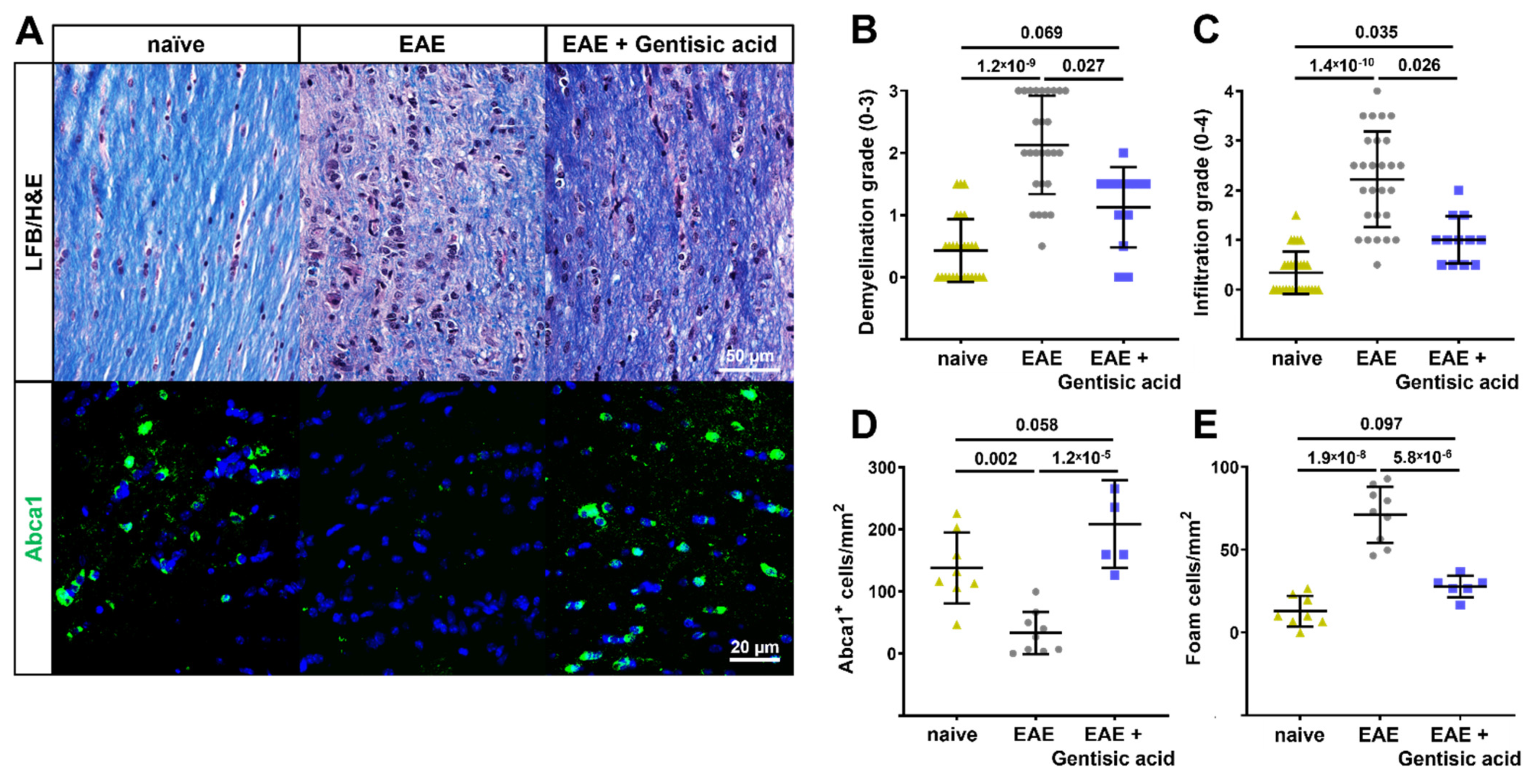 Biomolecules 12 01437 g005 Biomolecules 12 01437 g005