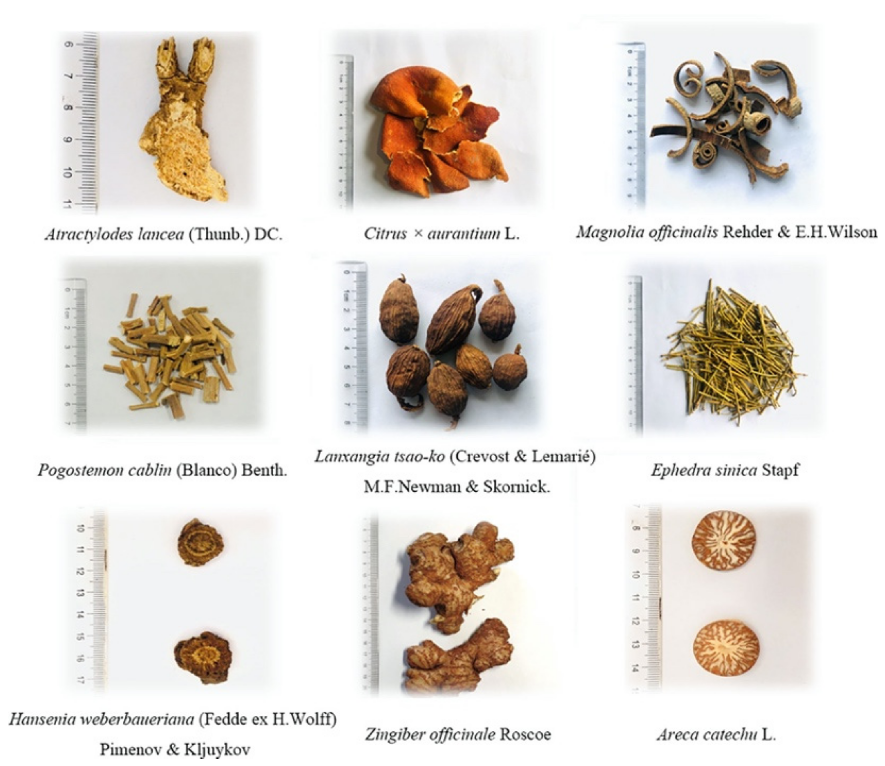 Biomolecules 12 01442 g003 Biomolecules 12 01442 g003