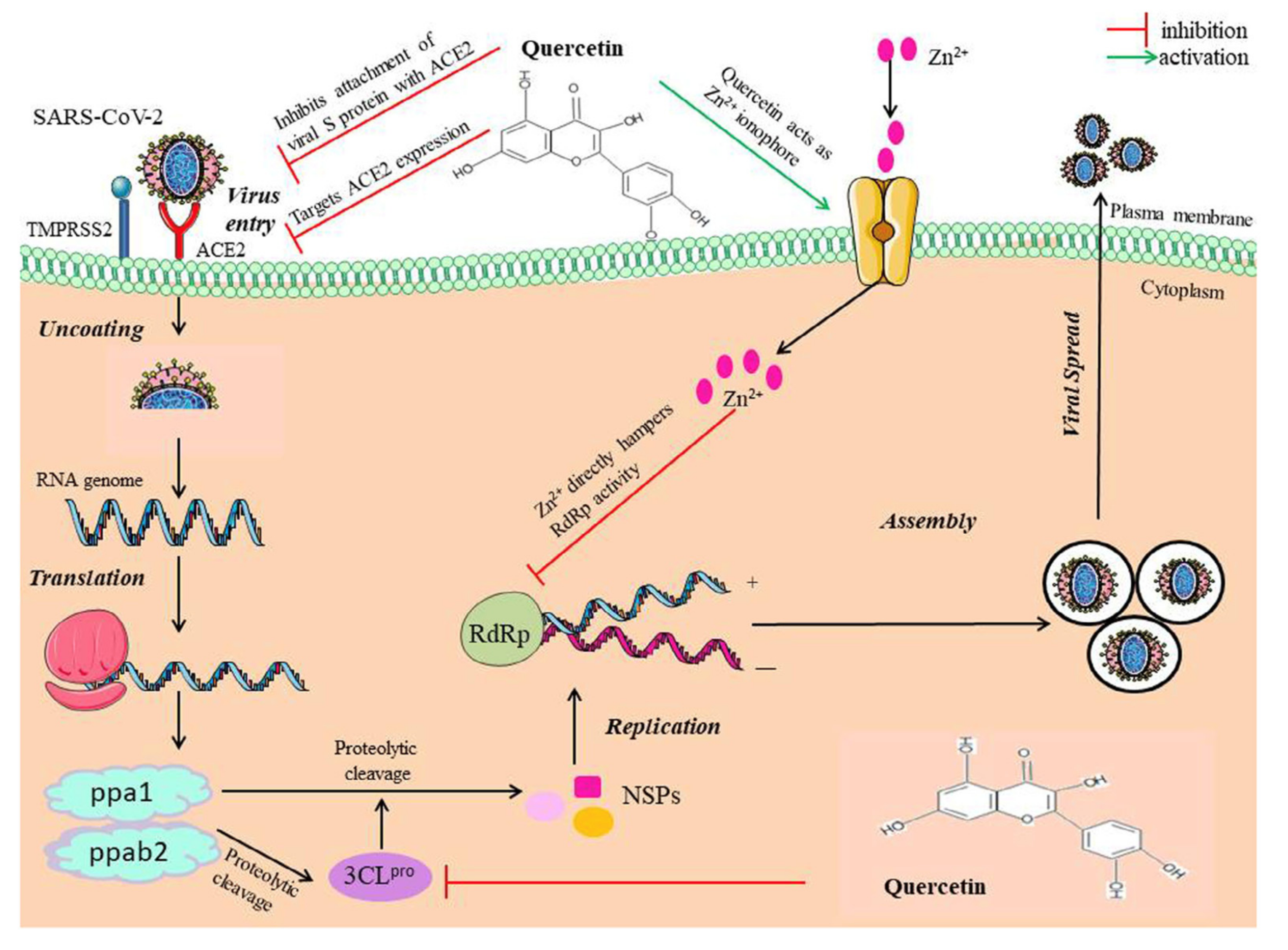 Biomolecules 12 01442 g005 Biomolecules 12 01442 g005