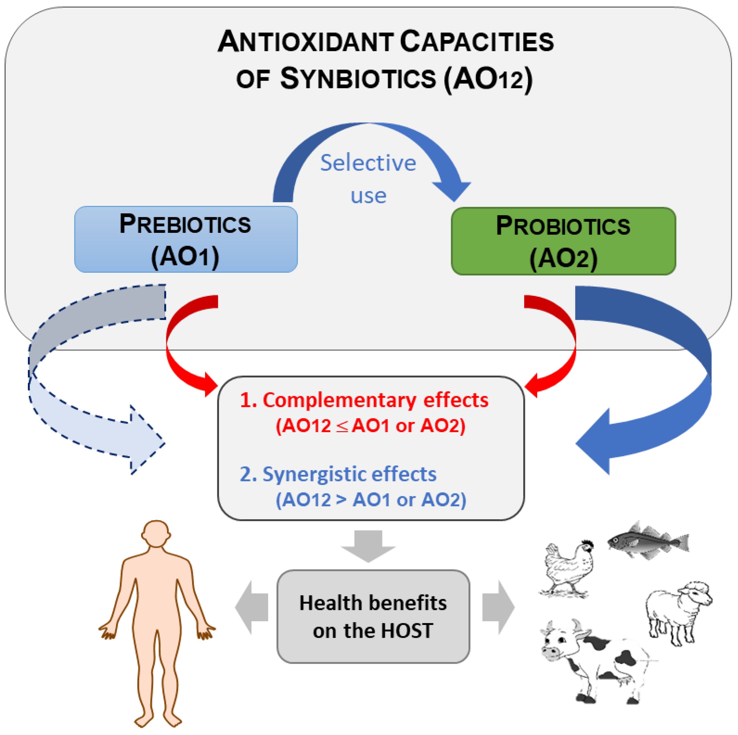Biomolecules 12 01443 g001 Biomolecules 12 01443 g001