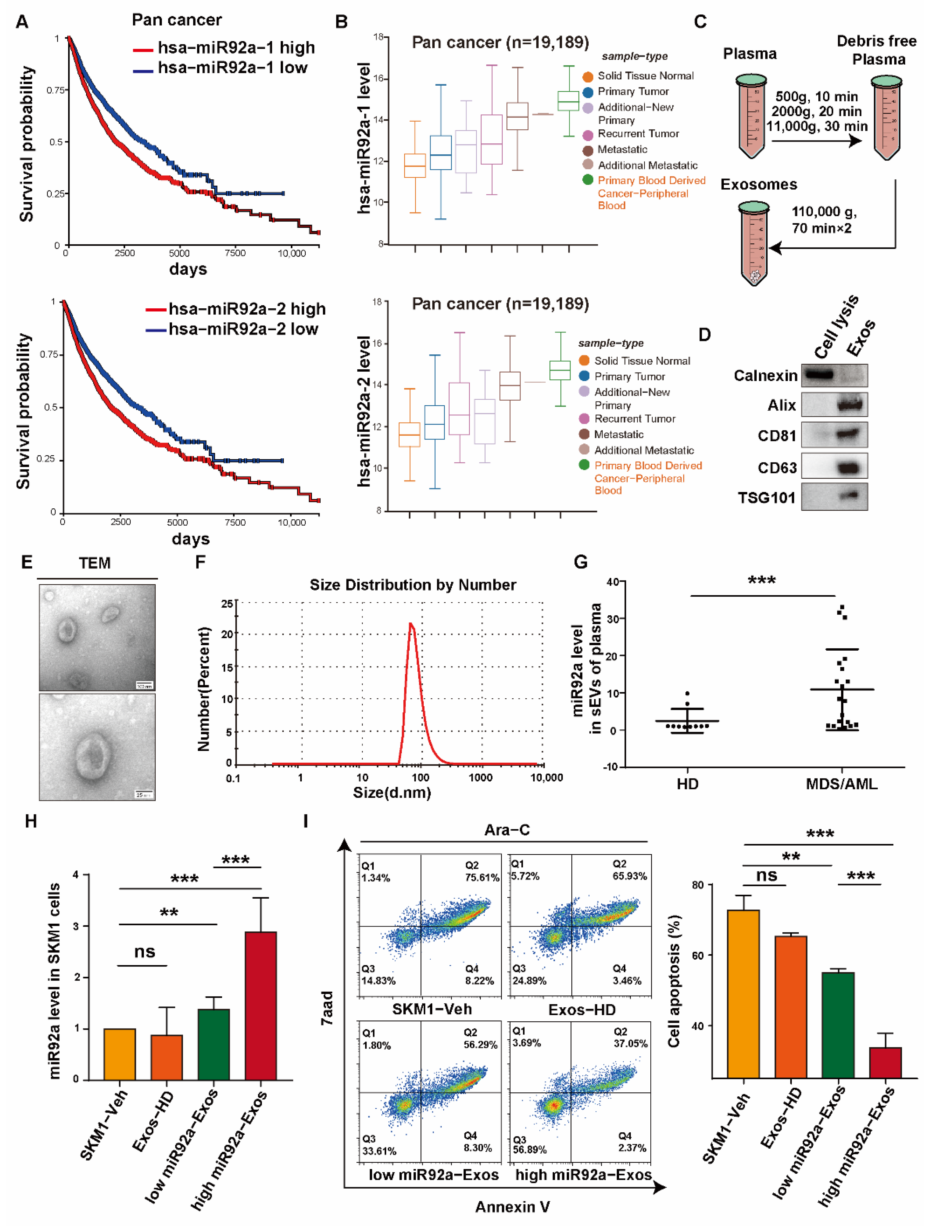Biomolecules 12 01448 g001 Biomolecules 12 01448 g001