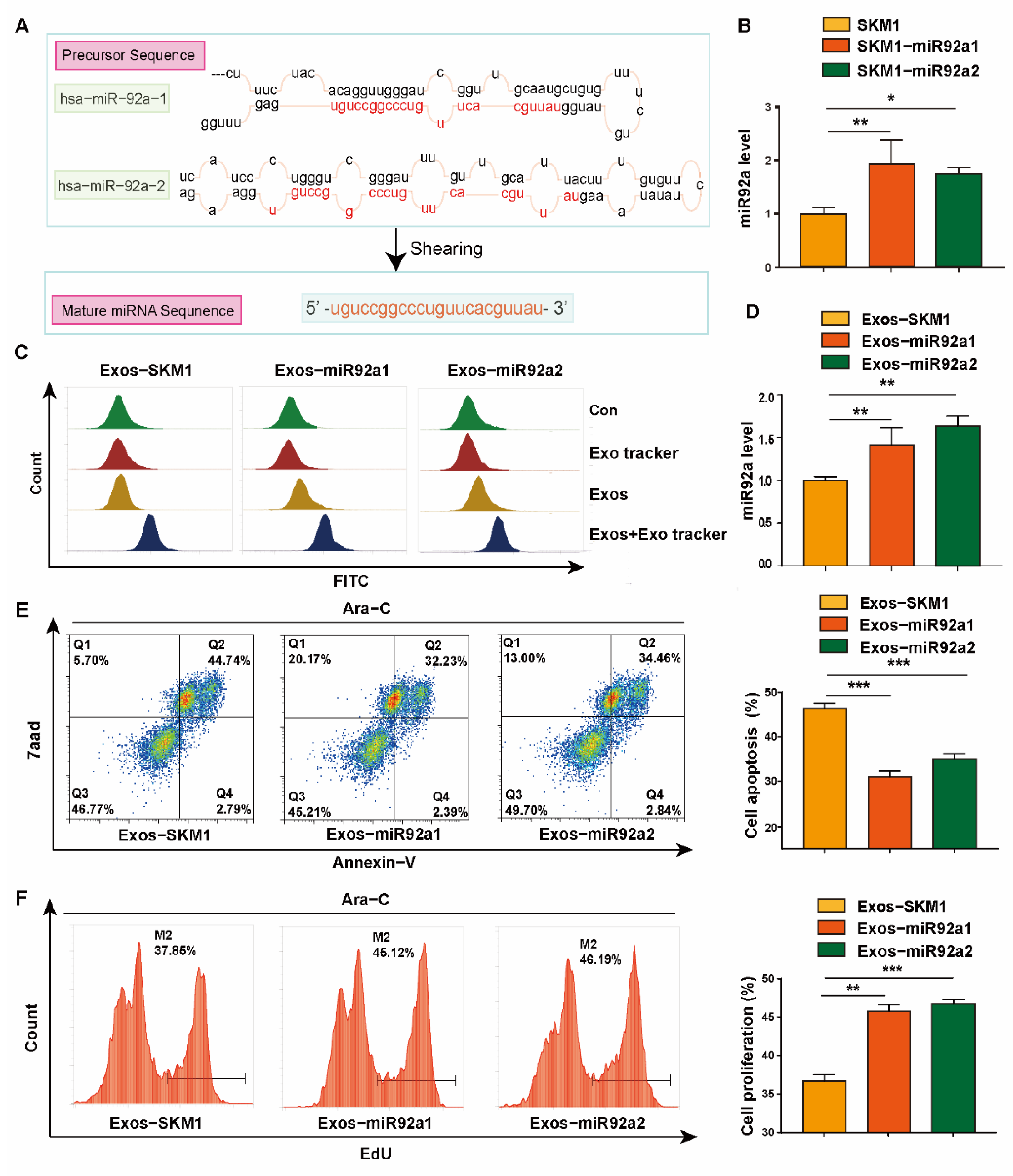 Biomolecules 12 01448 g002 Biomolecules 12 01448 g002